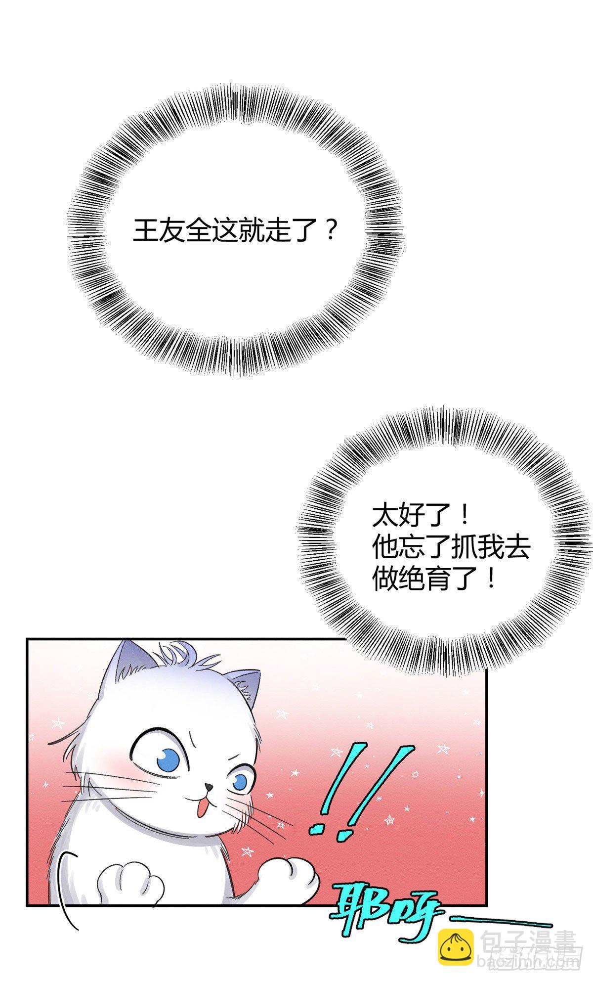 《今天也要努力当只猫》第7话 臭小子？ 第37页