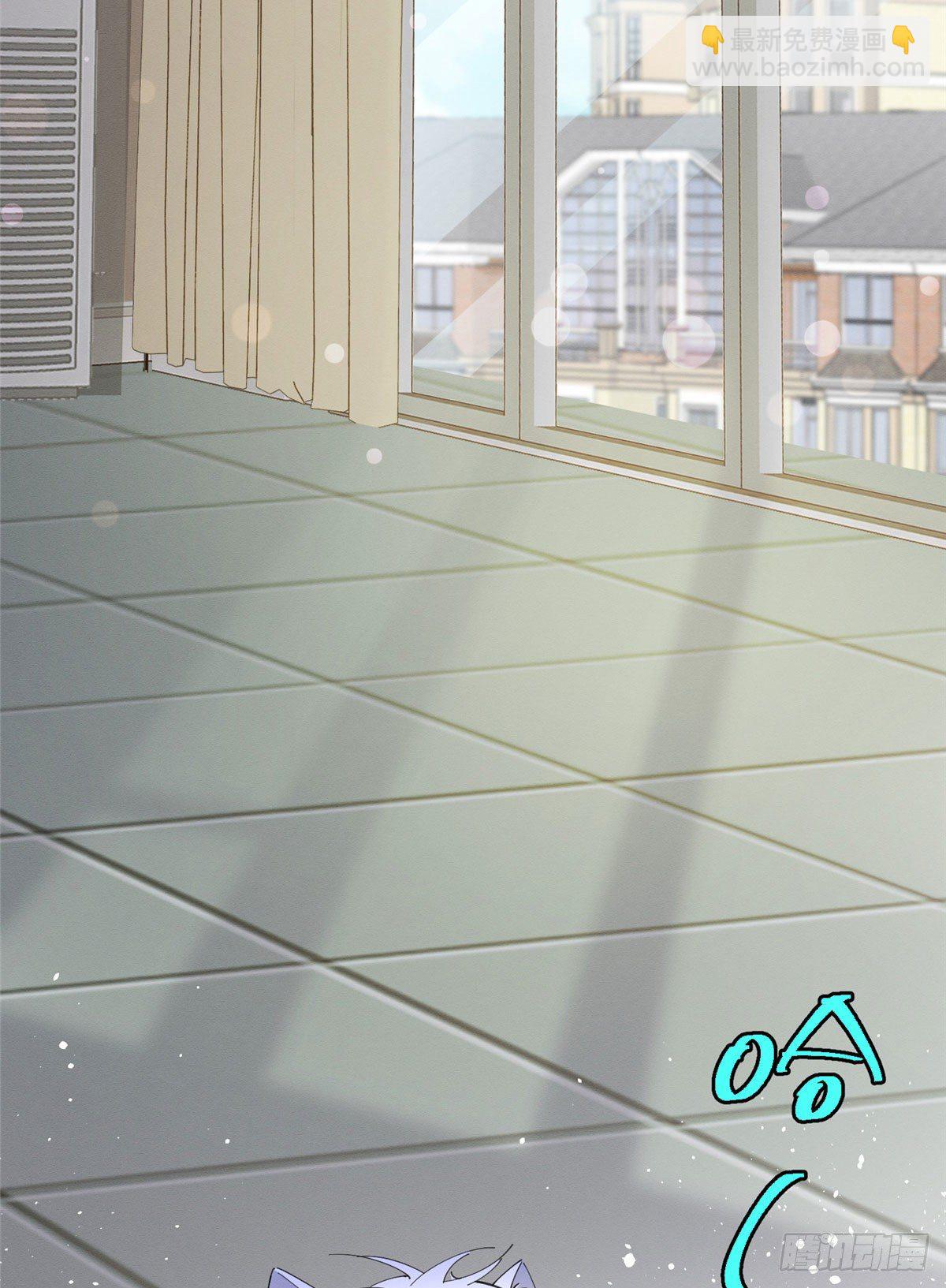 《今天也要努力当只猫》第7话 臭小子？ 第3页