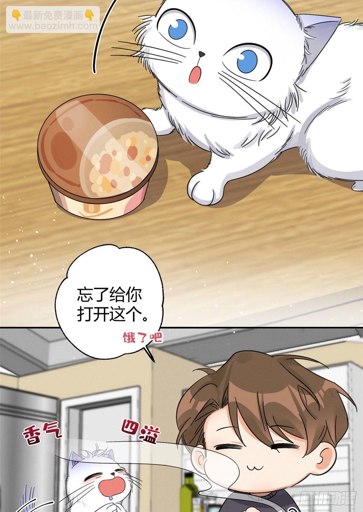 《今天也要努力当只猫》第7话 臭小子？ 第40页