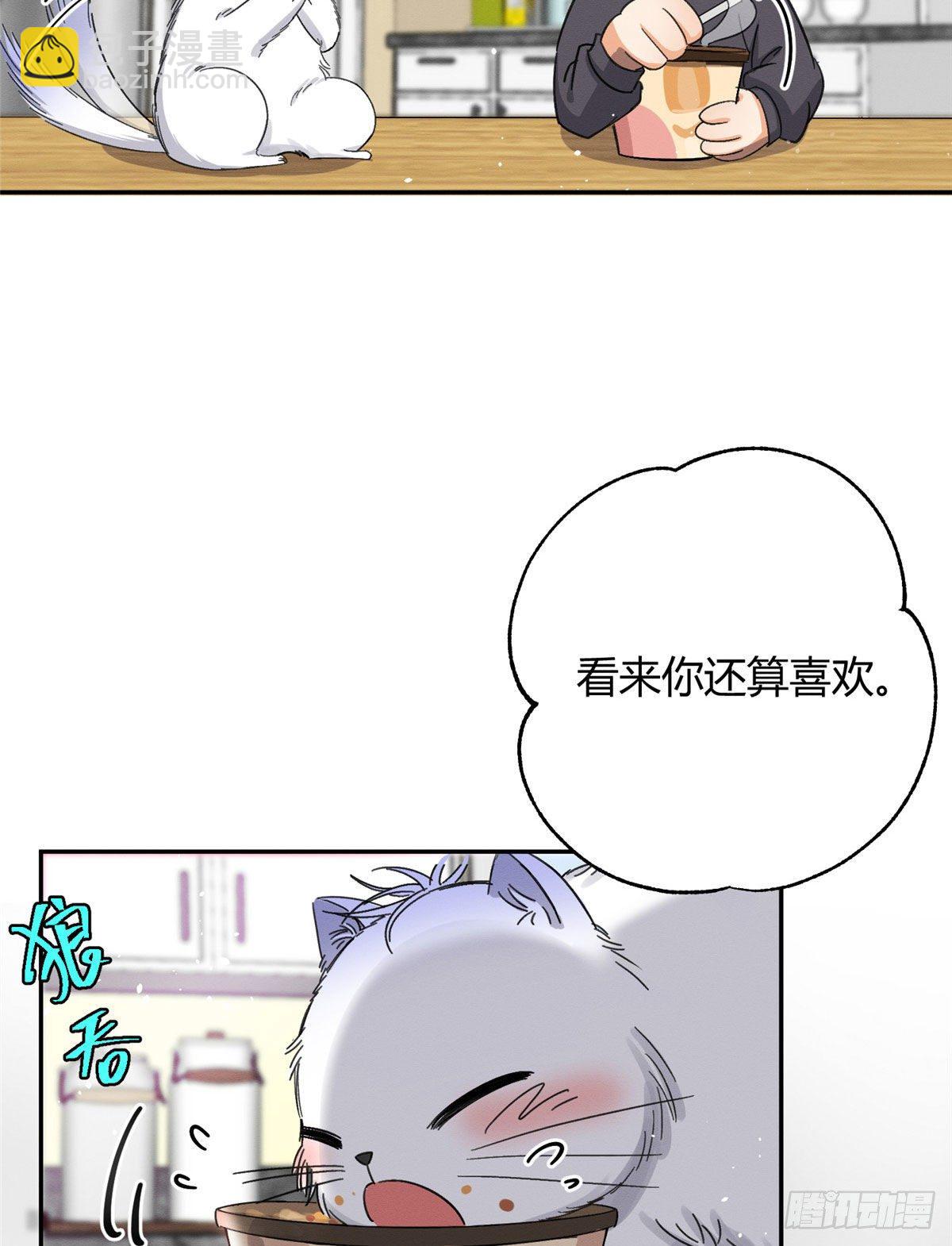 《今天也要努力当只猫》第7话 臭小子？ 第41页