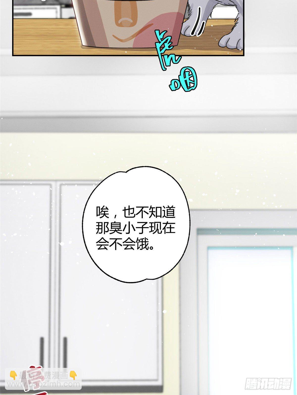 《今天也要努力当只猫》第7话 臭小子？ 第42页