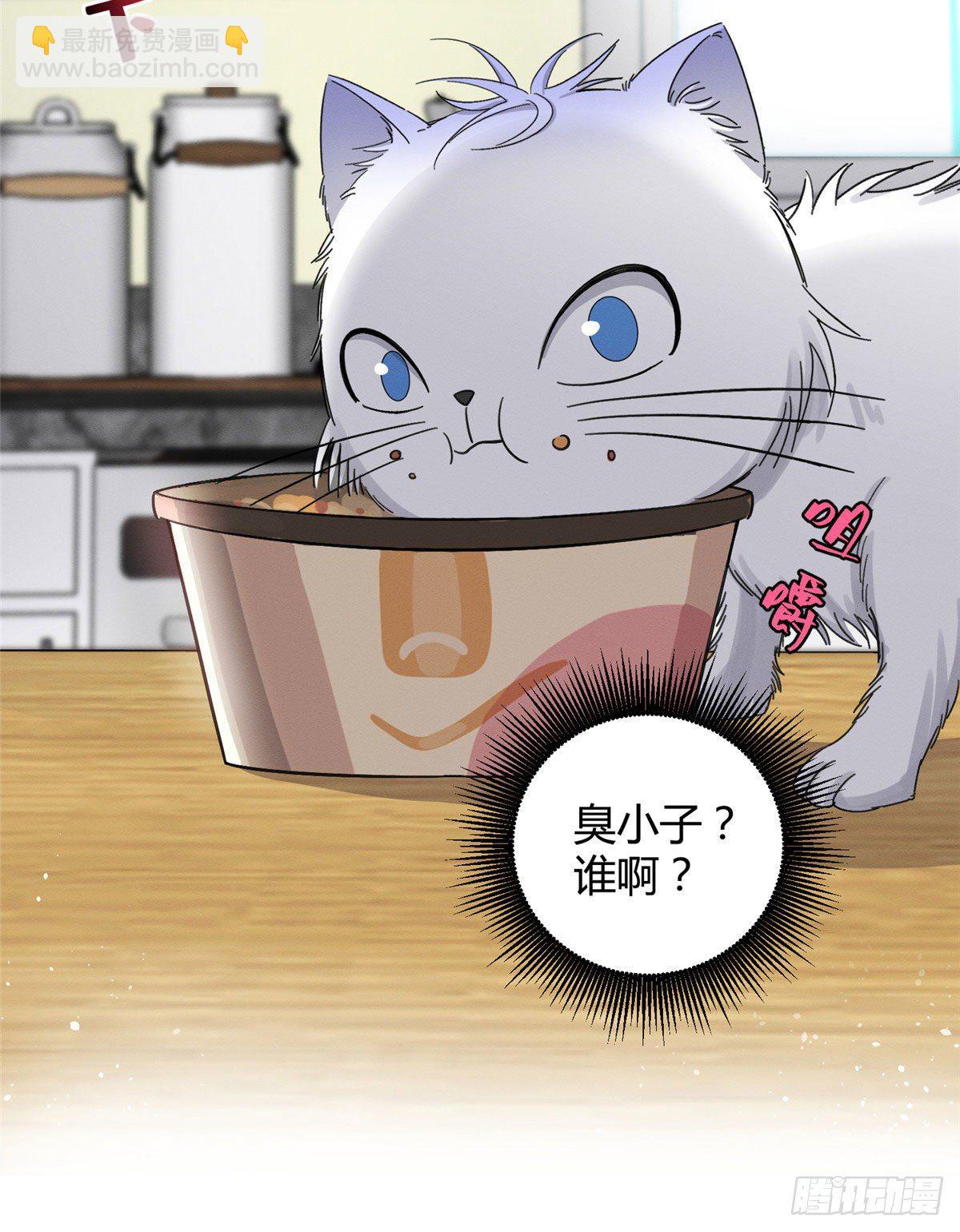 《今天也要努力当只猫》第7话 臭小子？ 第43页