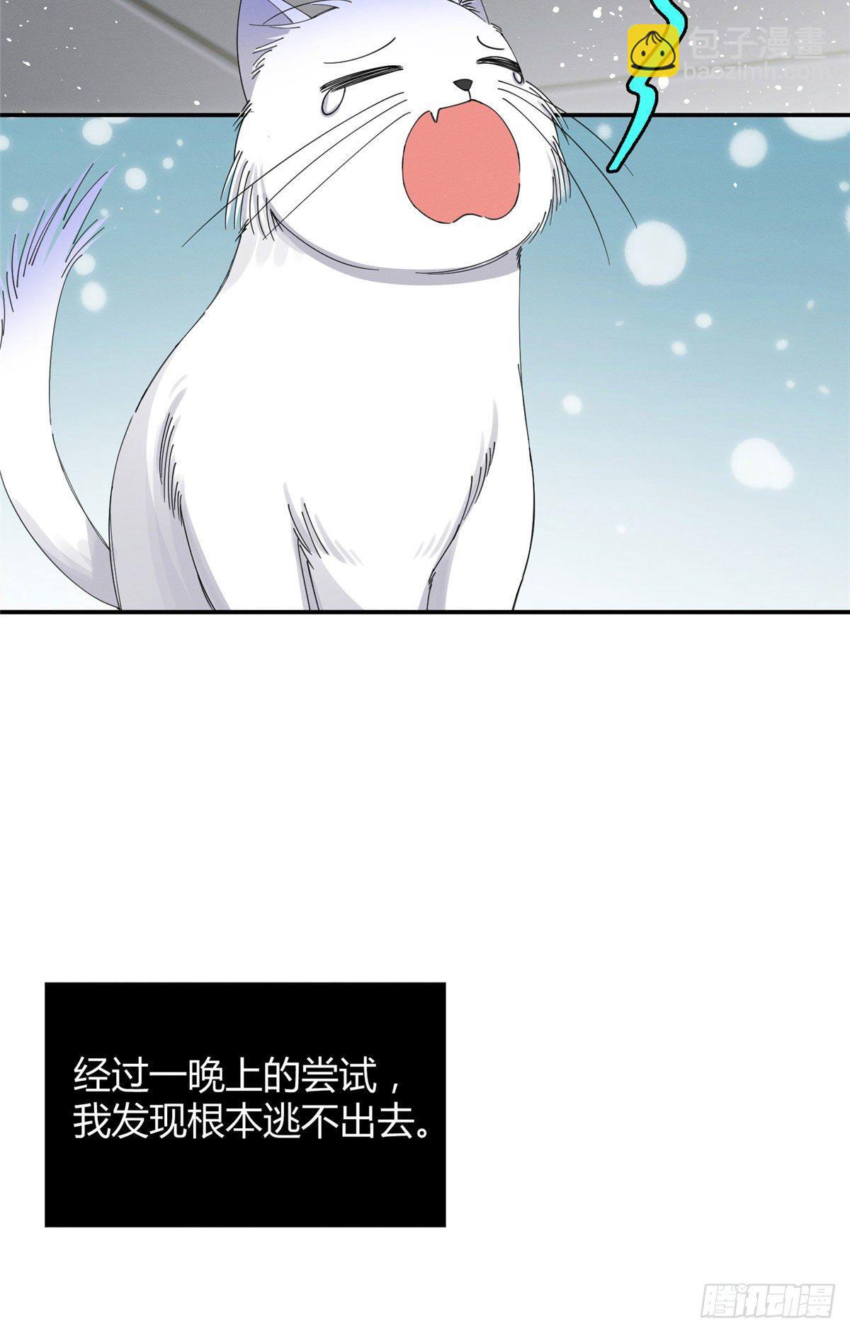 《今天也要努力当只猫》第7话 臭小子？ 第4页