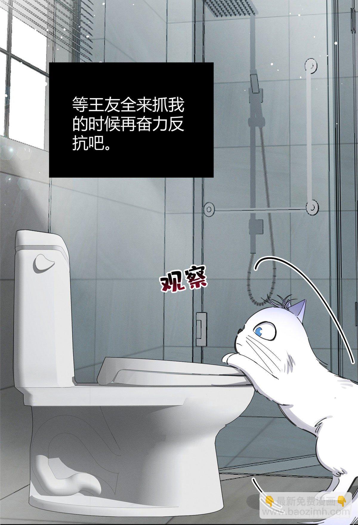 《今天也要努力当只猫》第7话 臭小子？ 第6页