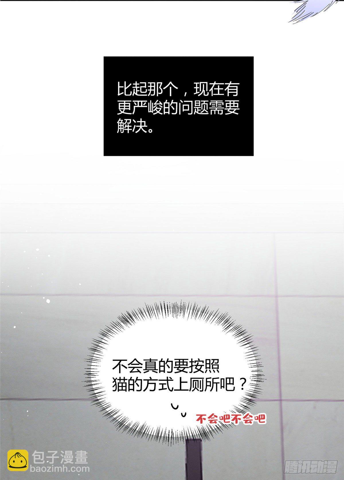 《今天也要努力当只猫》第7话 臭小子？ 第7页