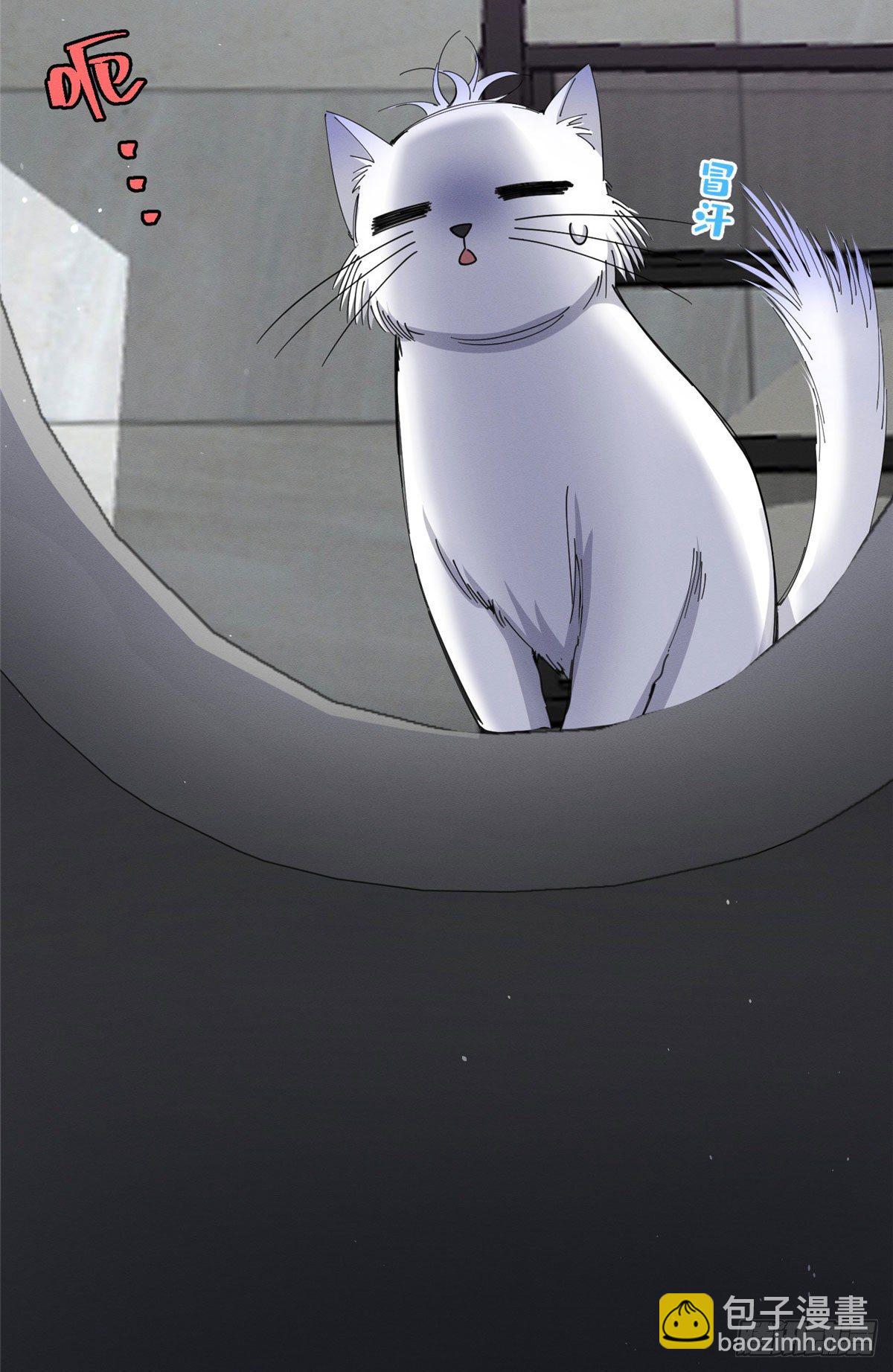 《今天也要努力当只猫》第7话 臭小子？ 第8页