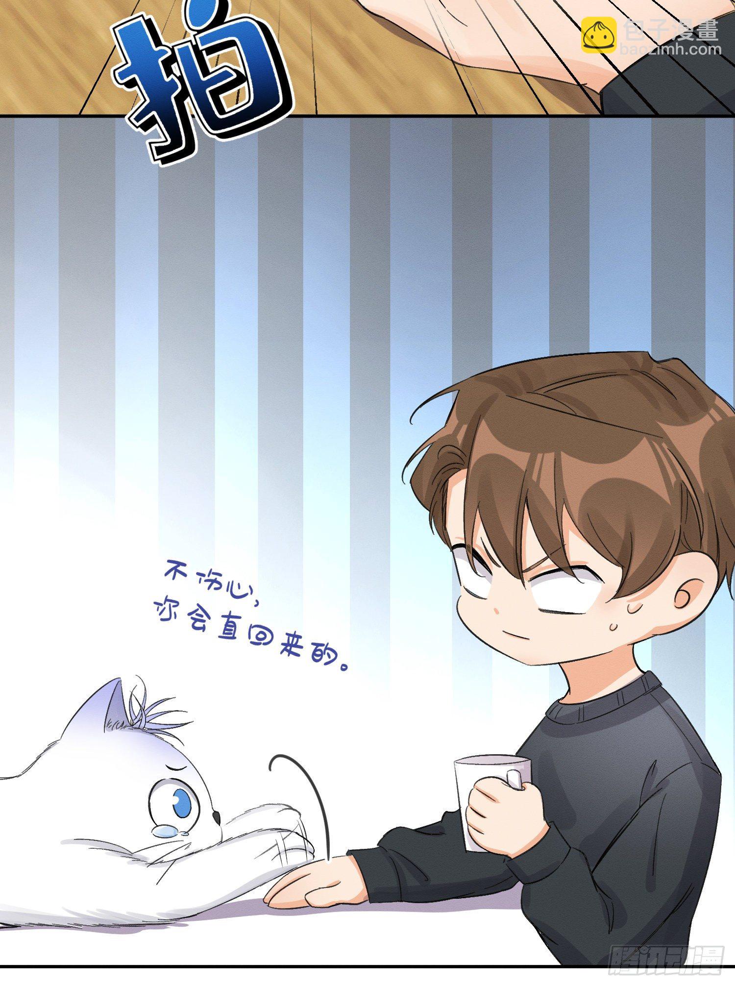 《今天也要努力当只猫》第8话 不可以碰我！ 第11页