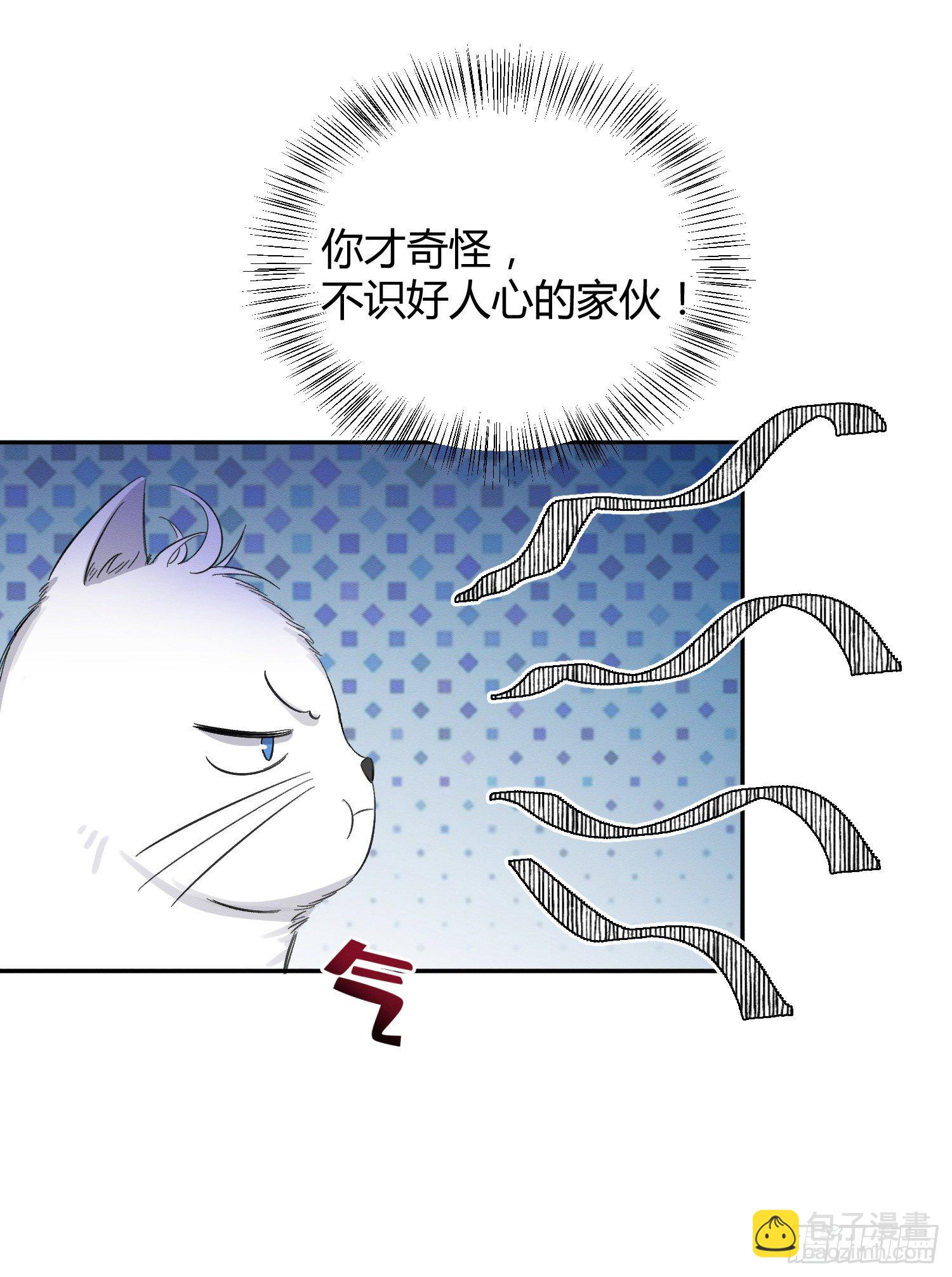 《今天也要努力当只猫》第8话 不可以碰我！ 第13页