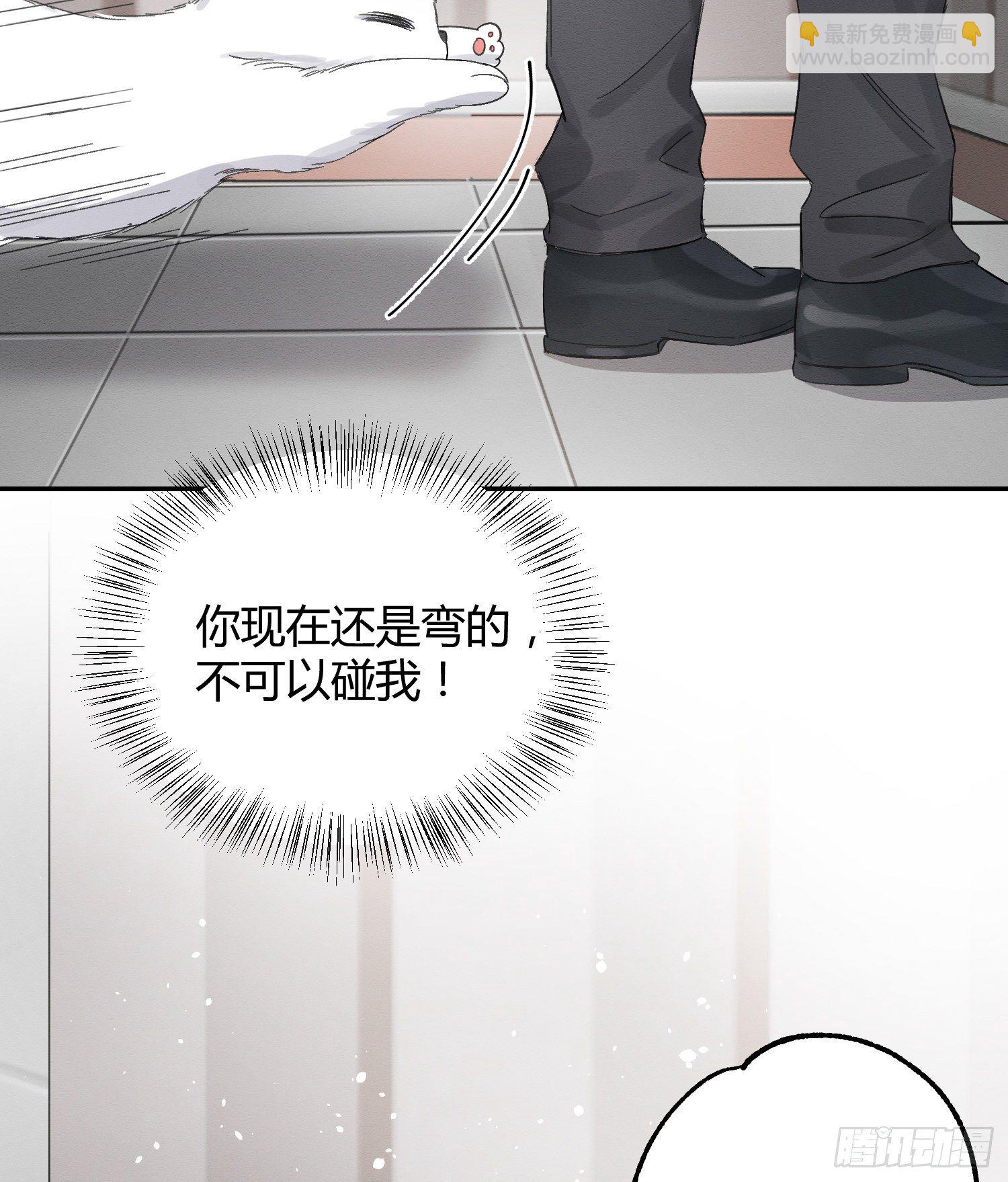 《今天也要努力当只猫》第8话 不可以碰我！ 第19页