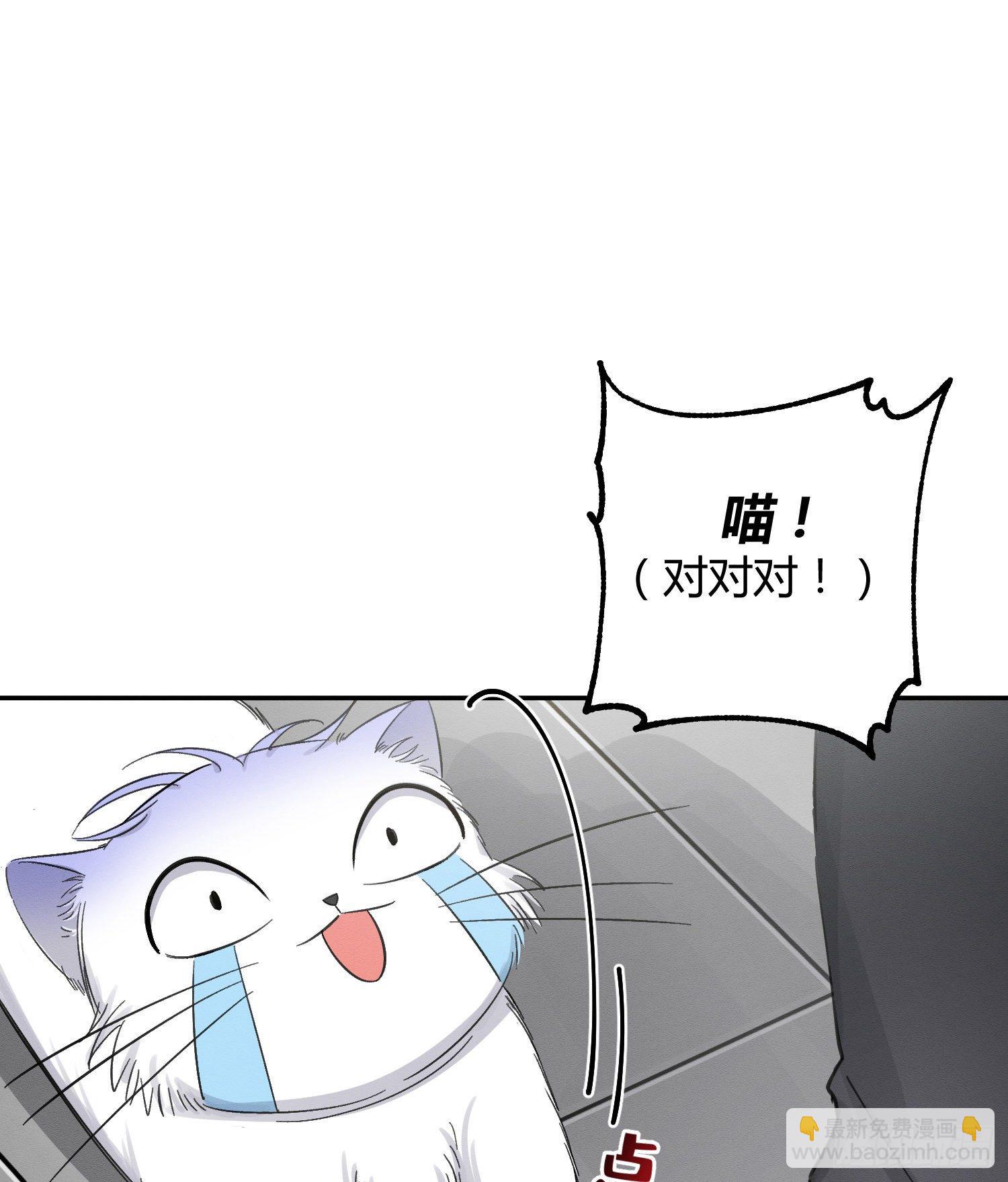 《今天也要努力当只猫》第8话 不可以碰我！ 第22页