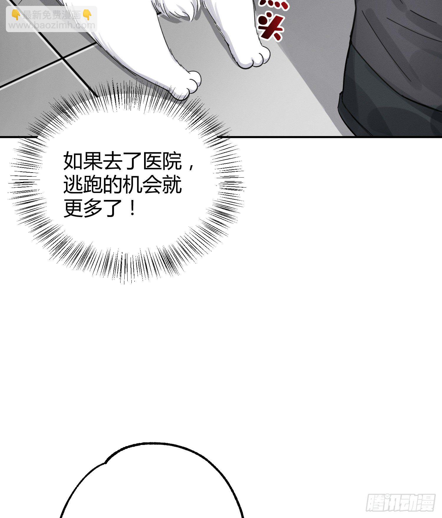 《今天也要努力当只猫》第8话 不可以碰我！ 第23页