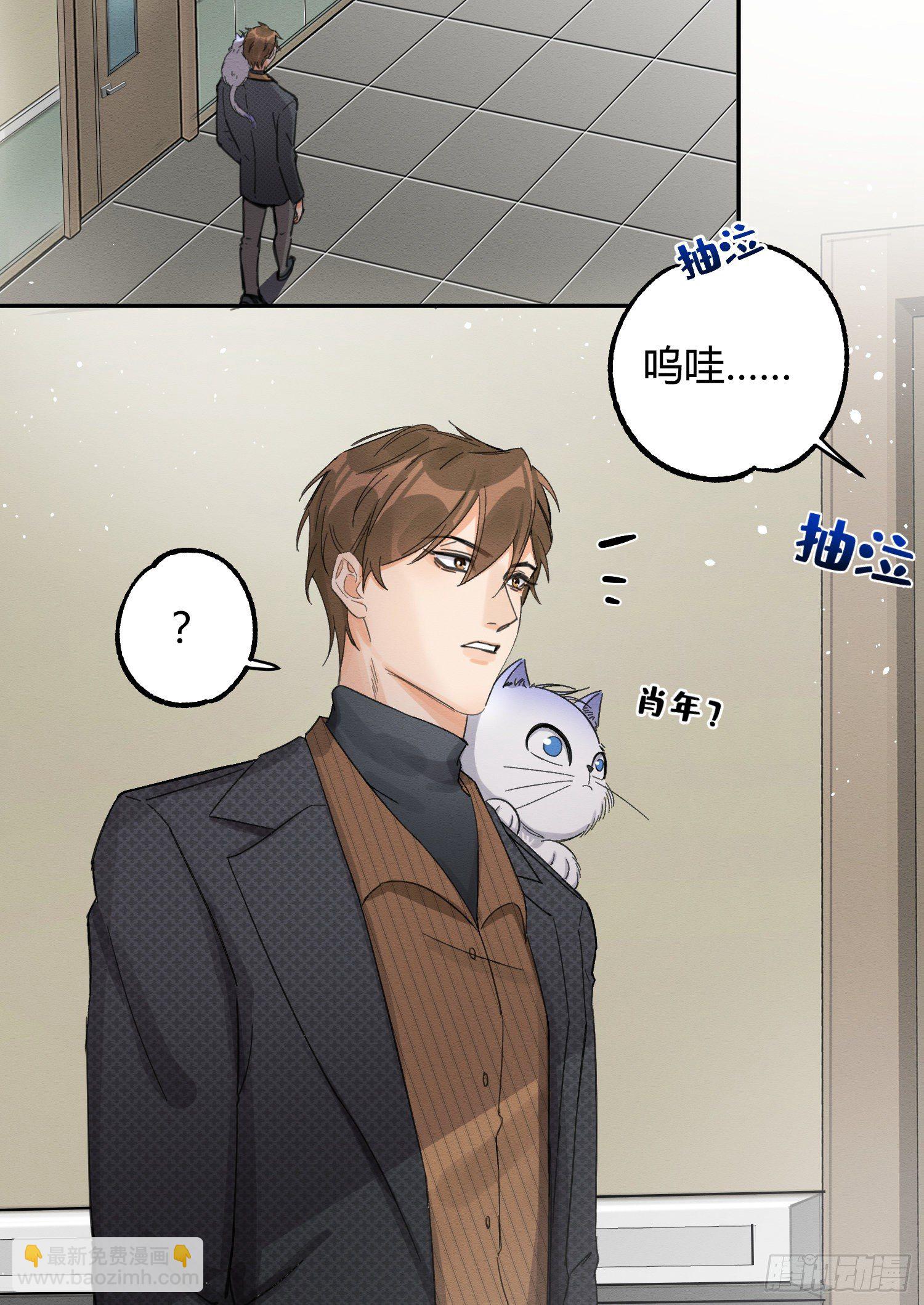 《今天也要努力当只猫》第8话 不可以碰我！ 第27页