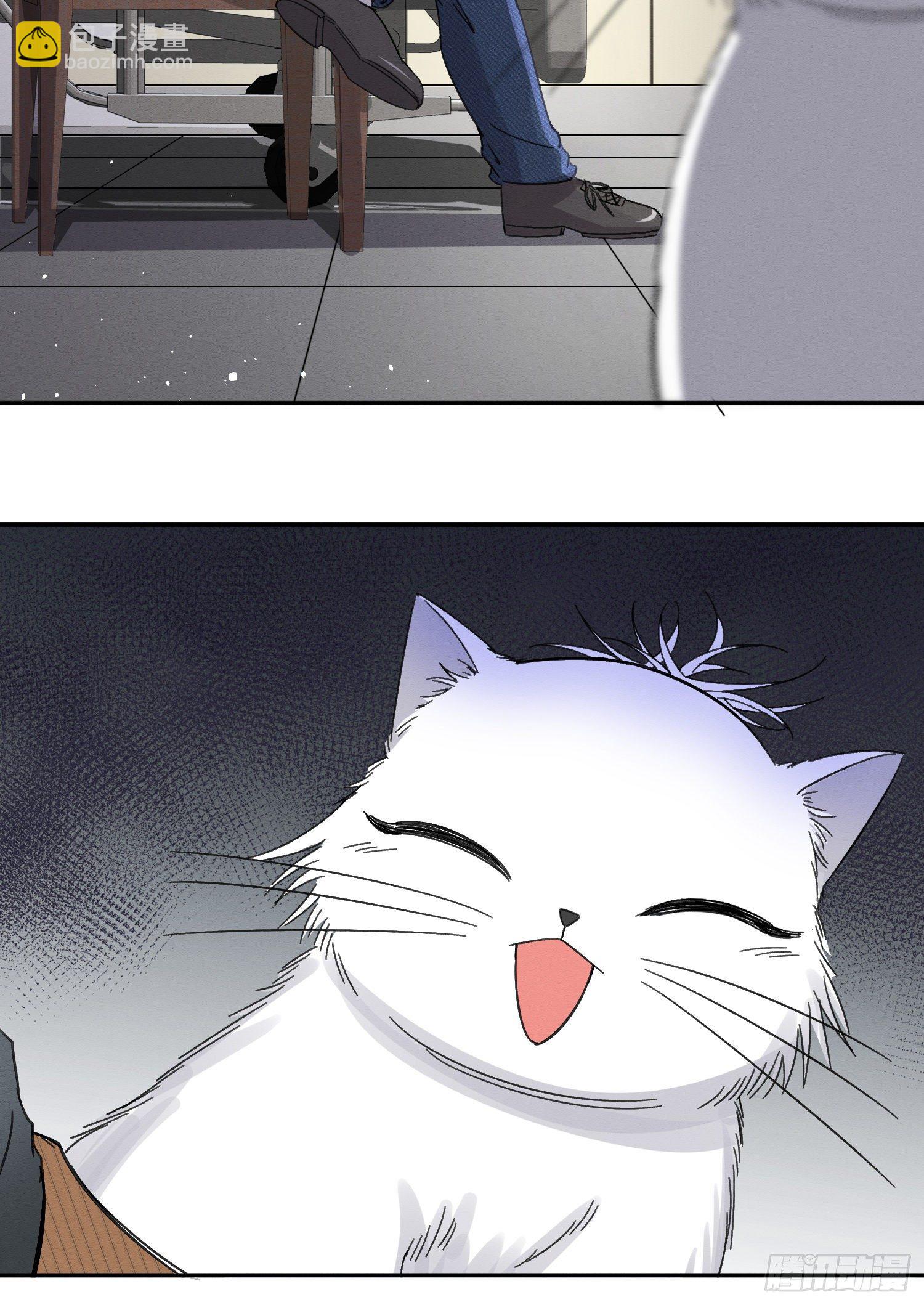 《今天也要努力当只猫》第8话 不可以碰我！ 第31页
