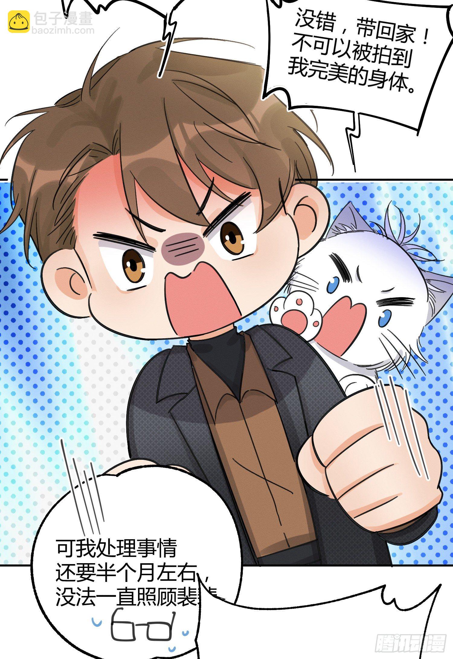 《今天也要努力当只猫》第8话 不可以碰我！ 第40页