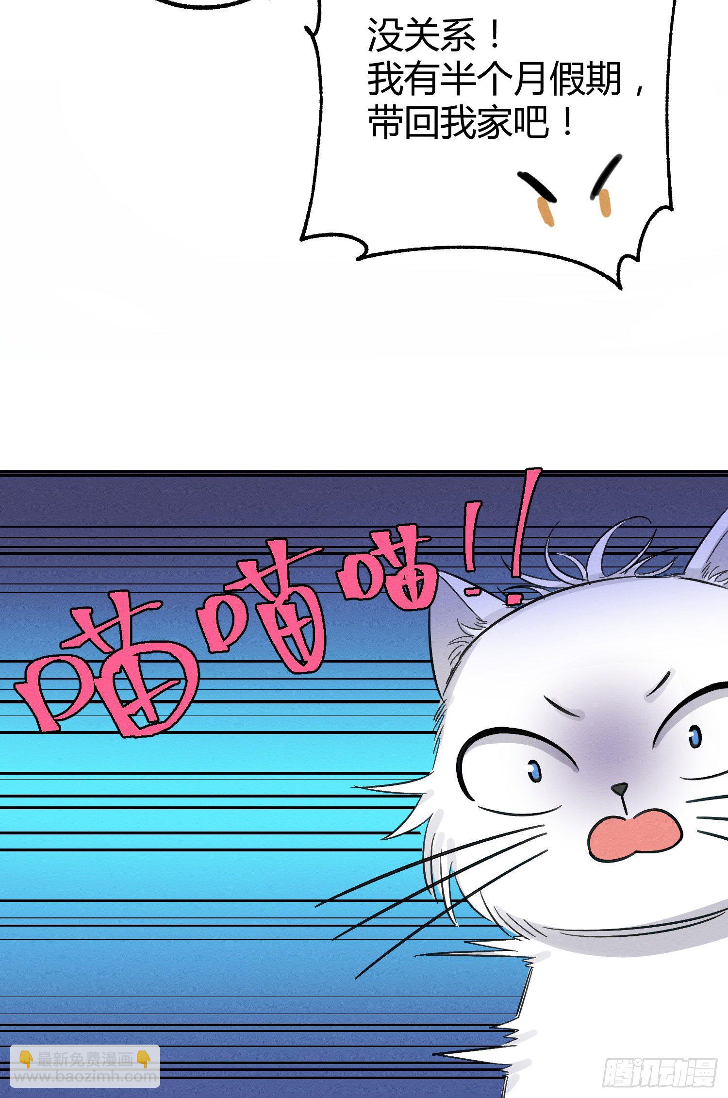 《今天也要努力当只猫》第8话 不可以碰我！ 第41页