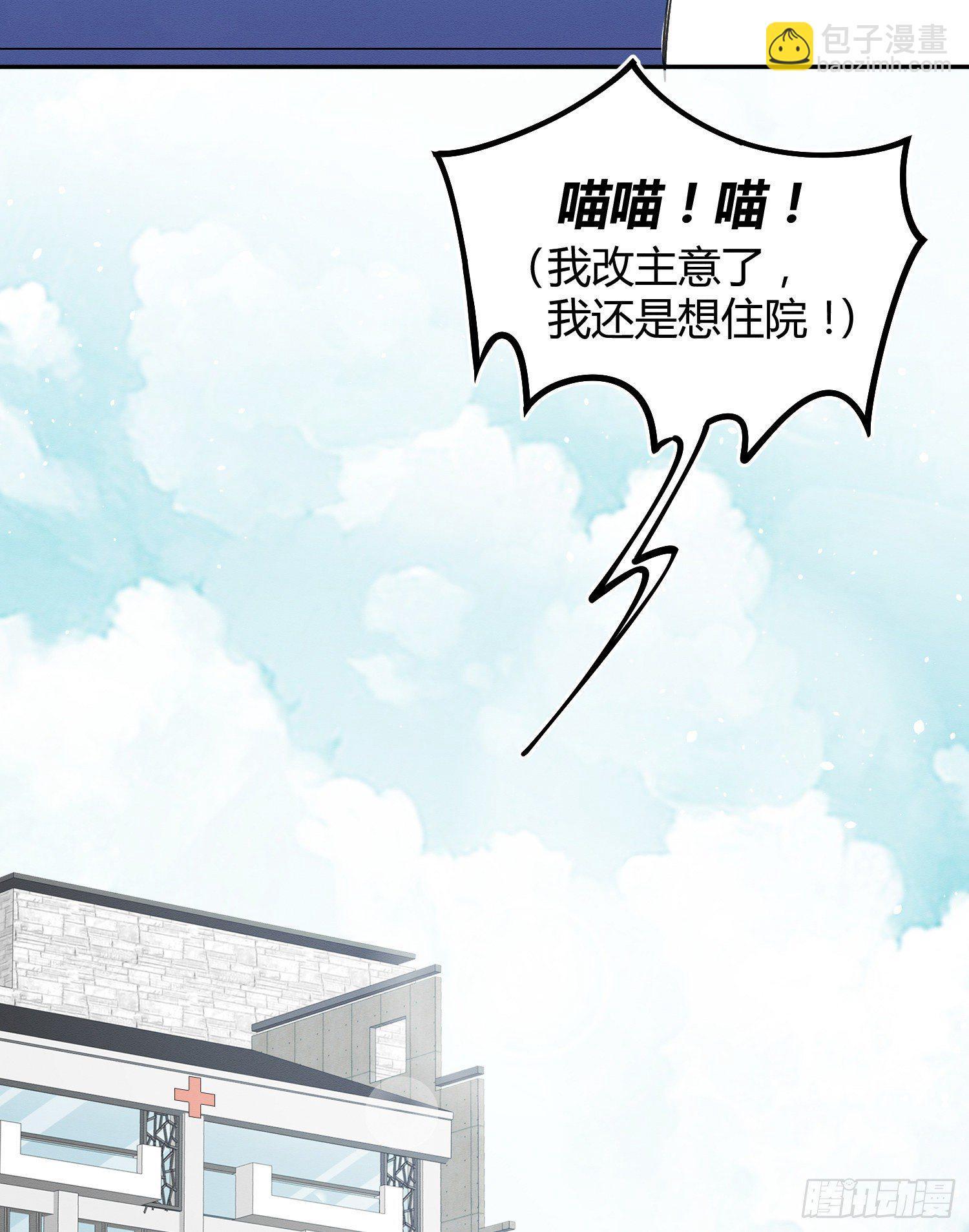 《今天也要努力当只猫》第8话 不可以碰我！ 第42页