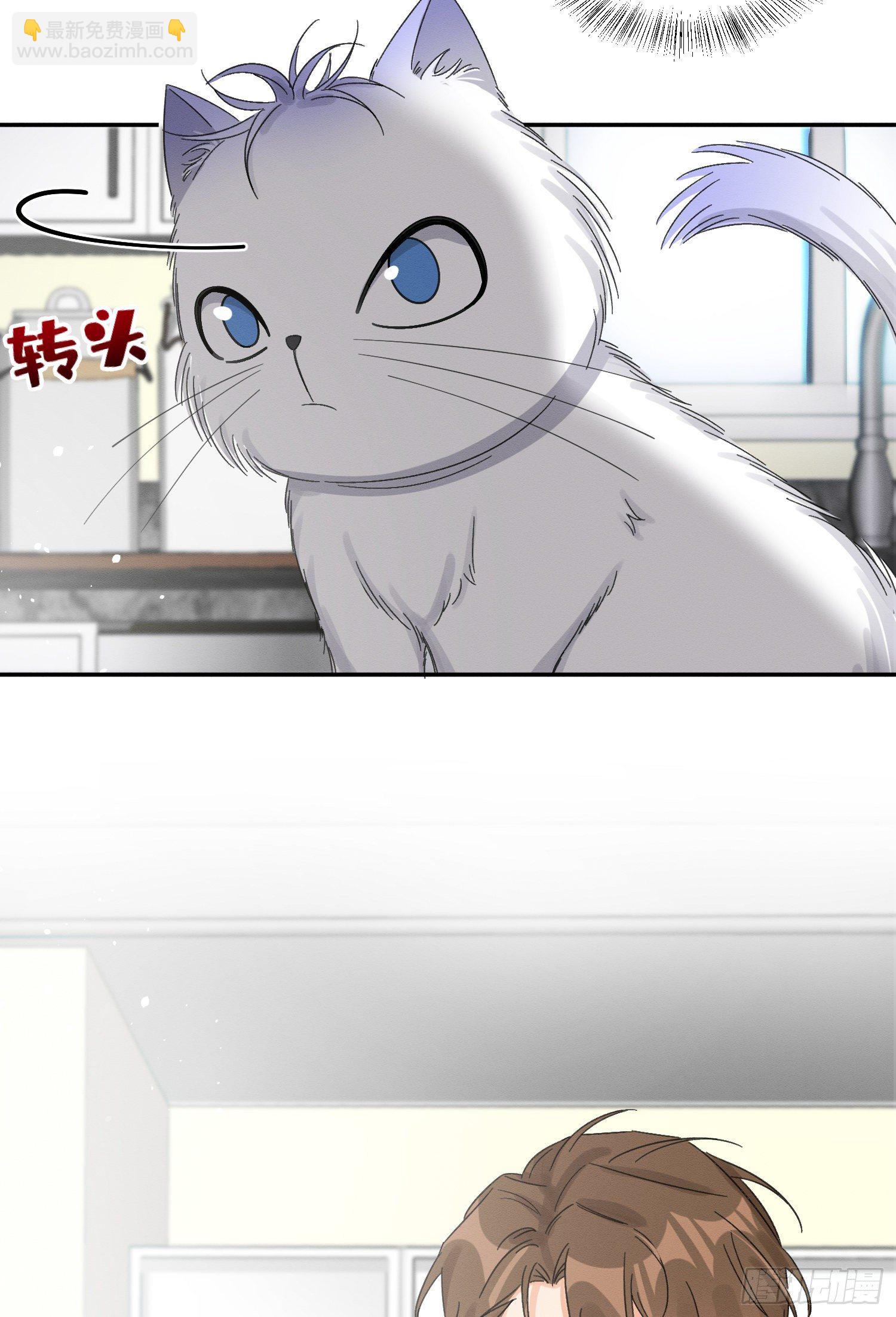 《今天也要努力当只猫》第8话 不可以碰我！ 第7页