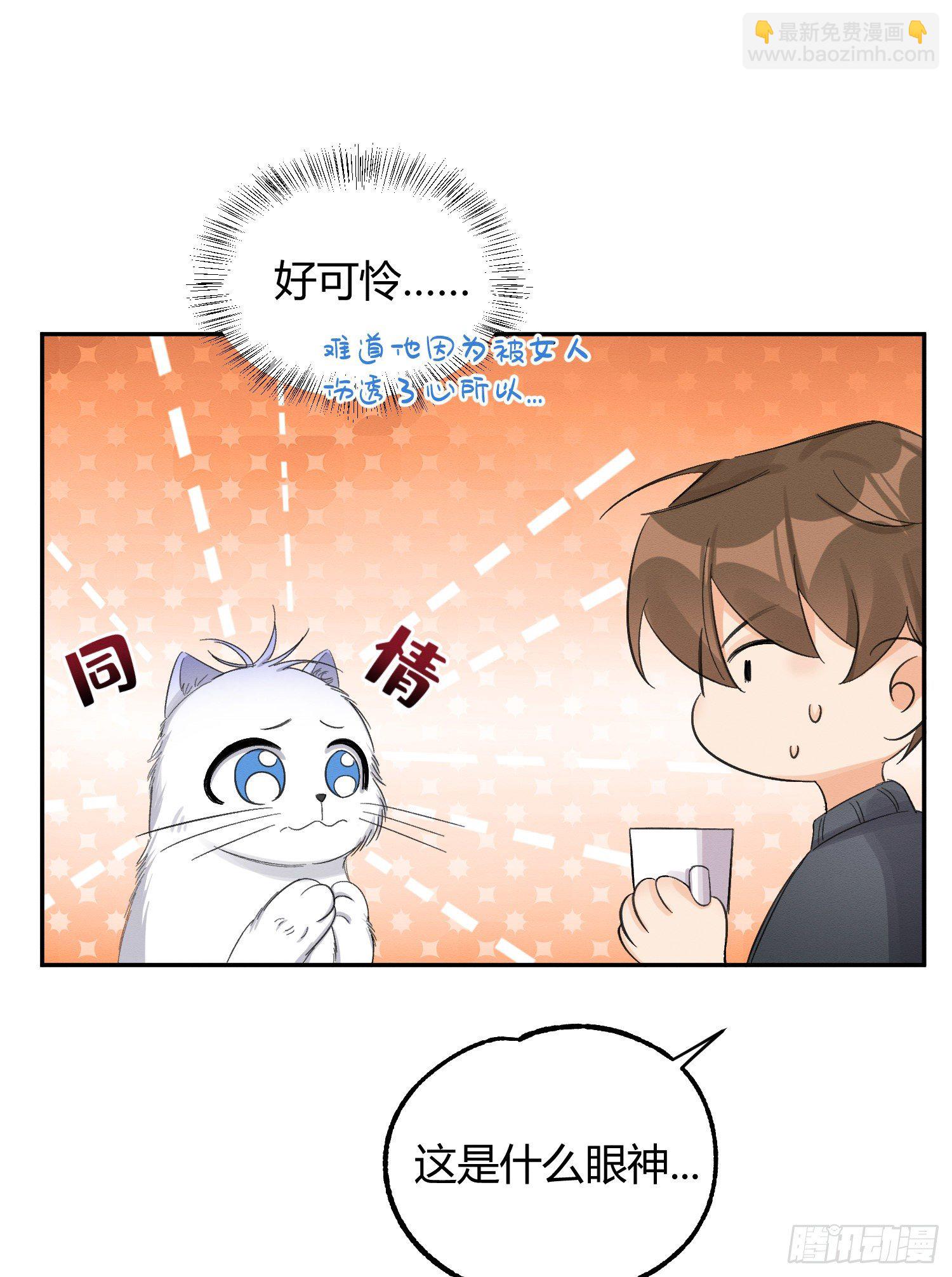 《今天也要努力当只猫》第8话 不可以碰我！ 第9页