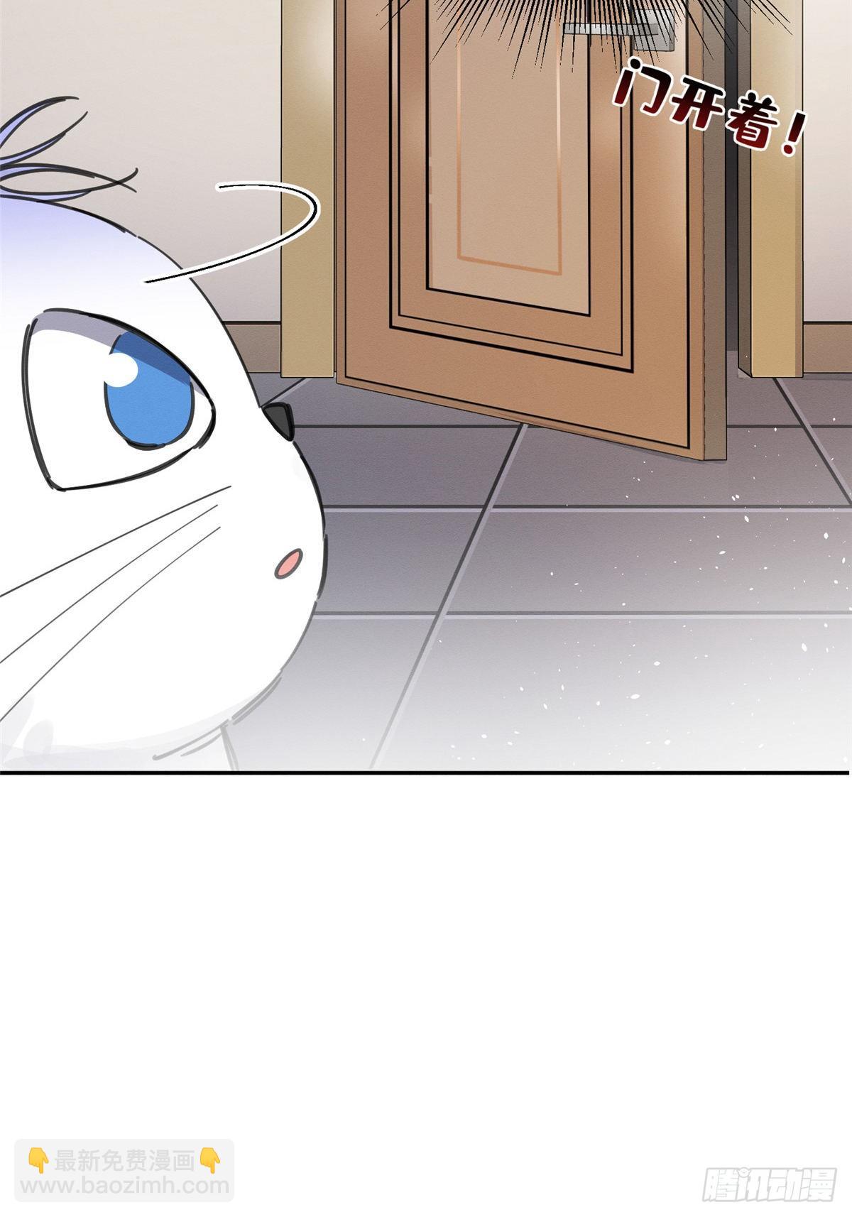 《今天也要努力当只猫》第6话 笨蛋！ 第10页