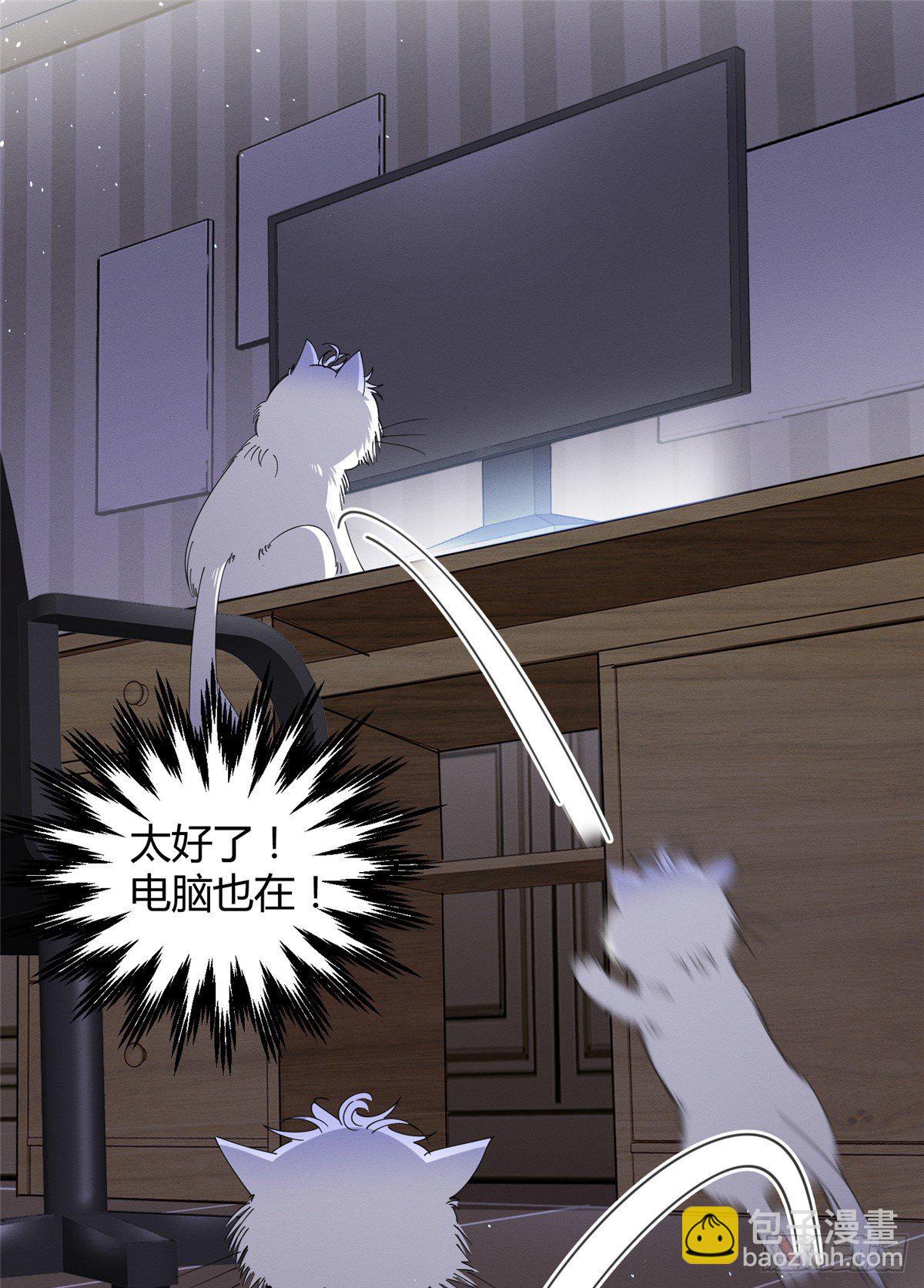 《今天也要努力当只猫》第6话 笨蛋！ 第11页