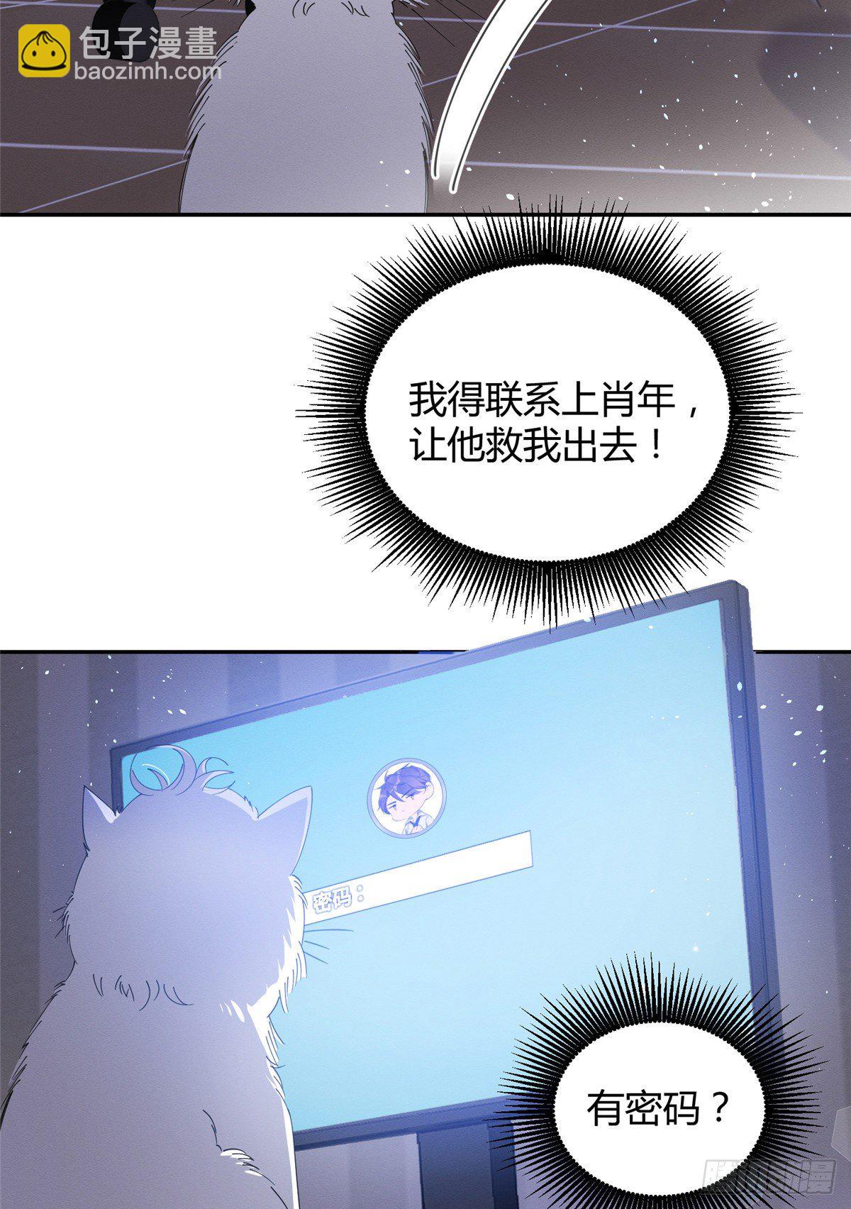 《今天也要努力当只猫》第6话 笨蛋！ 第12页