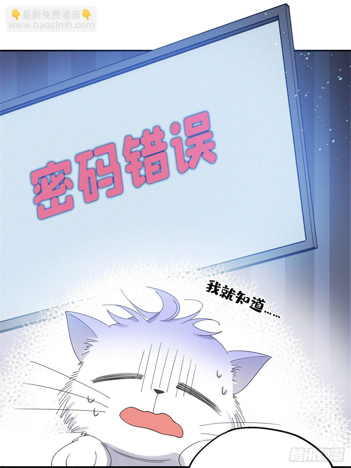 《今天也要努力当只猫》第6话 笨蛋！ 第16页