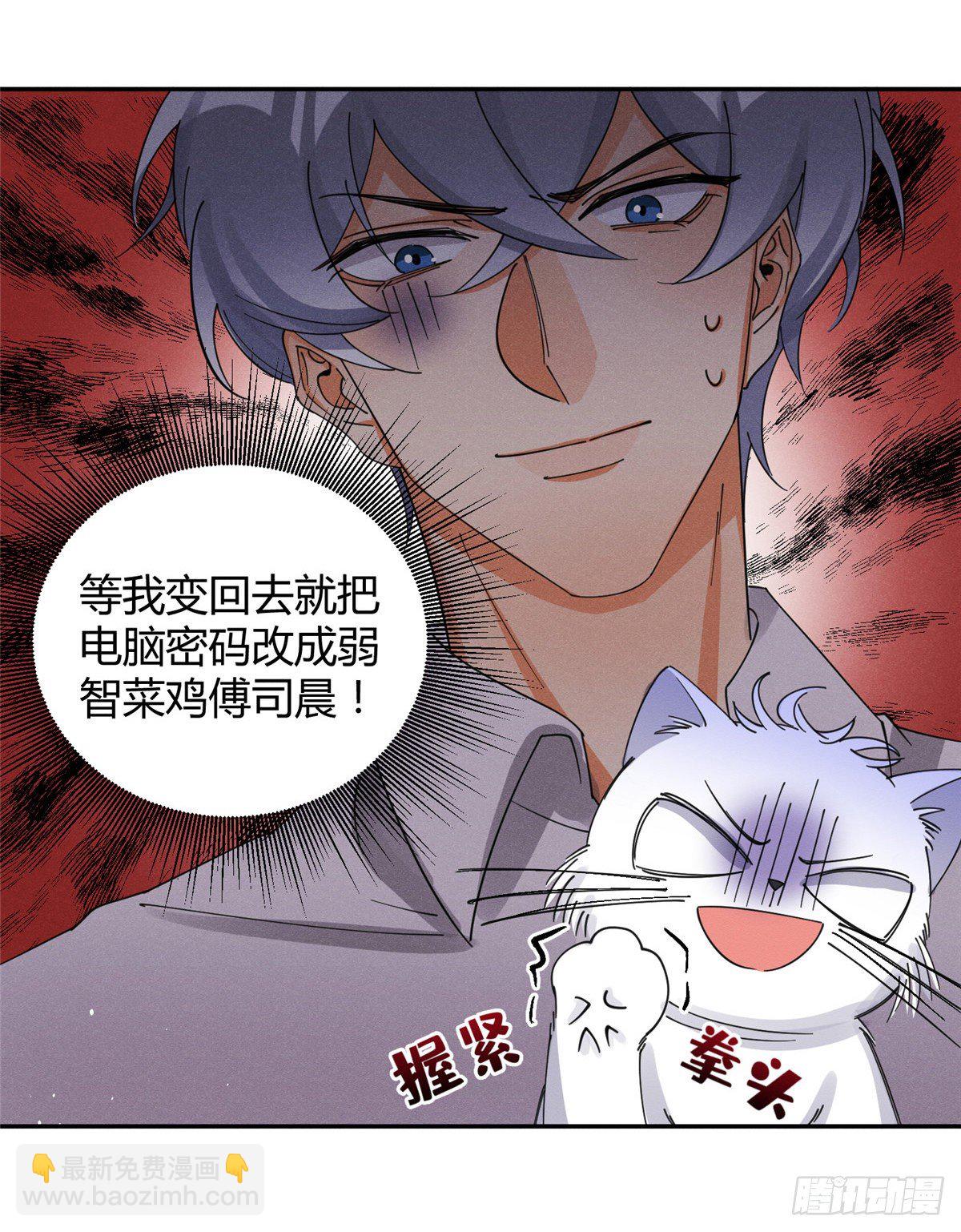 《今天也要努力当只猫》第6话 笨蛋！ 第21页