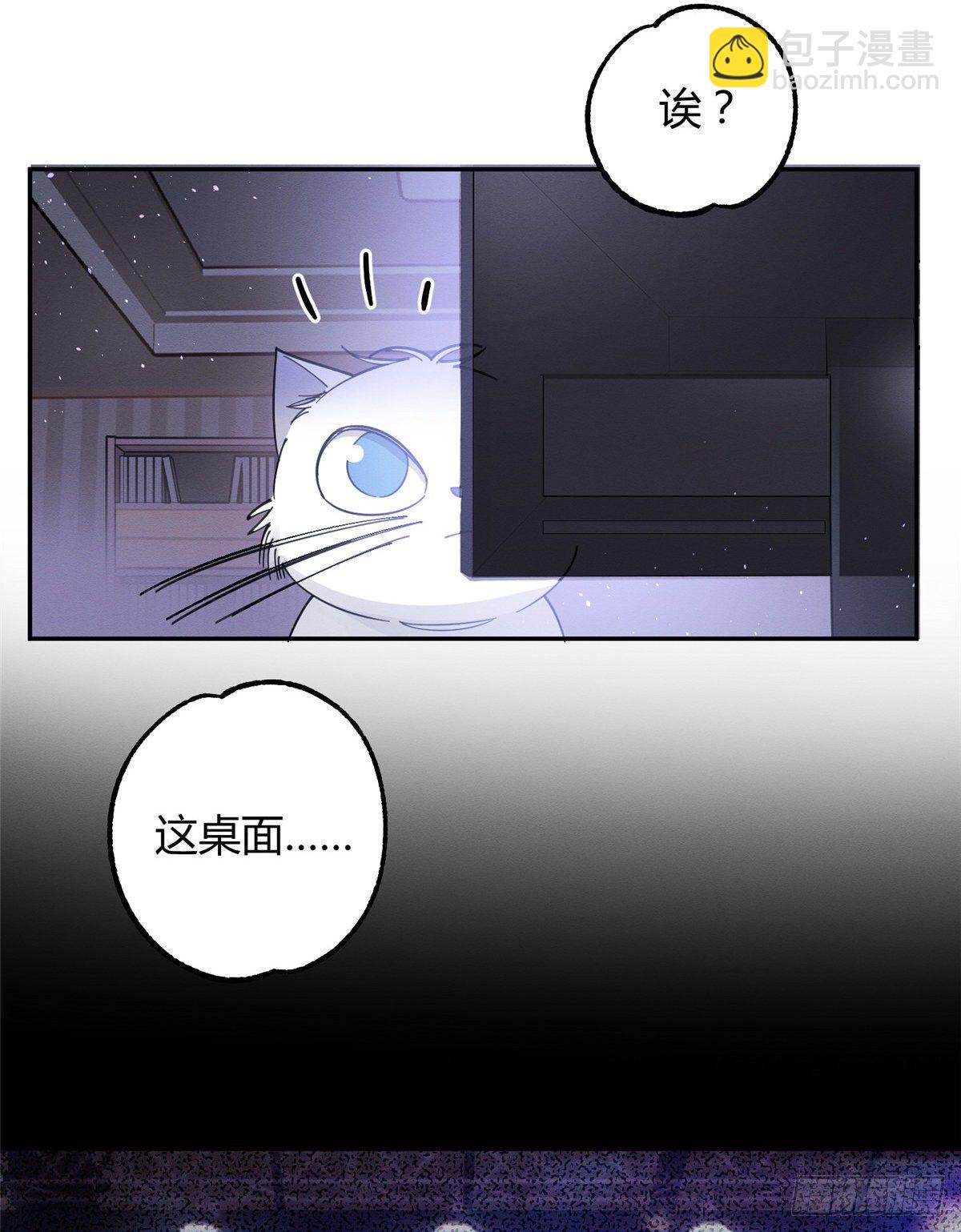 《今天也要努力当只猫》第6话 笨蛋！ 第22页