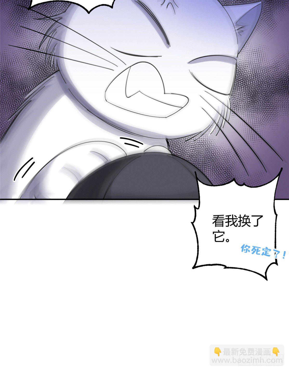 《今天也要努力当只猫》第6话 笨蛋！ 第28页