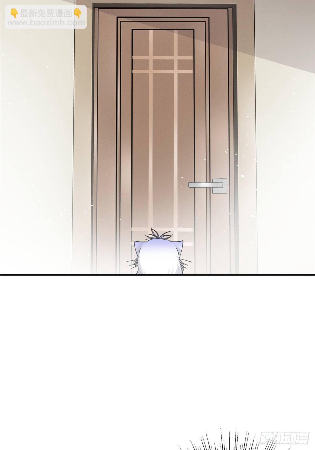 《今天也要努力当只猫》第6话 笨蛋！ 第3页