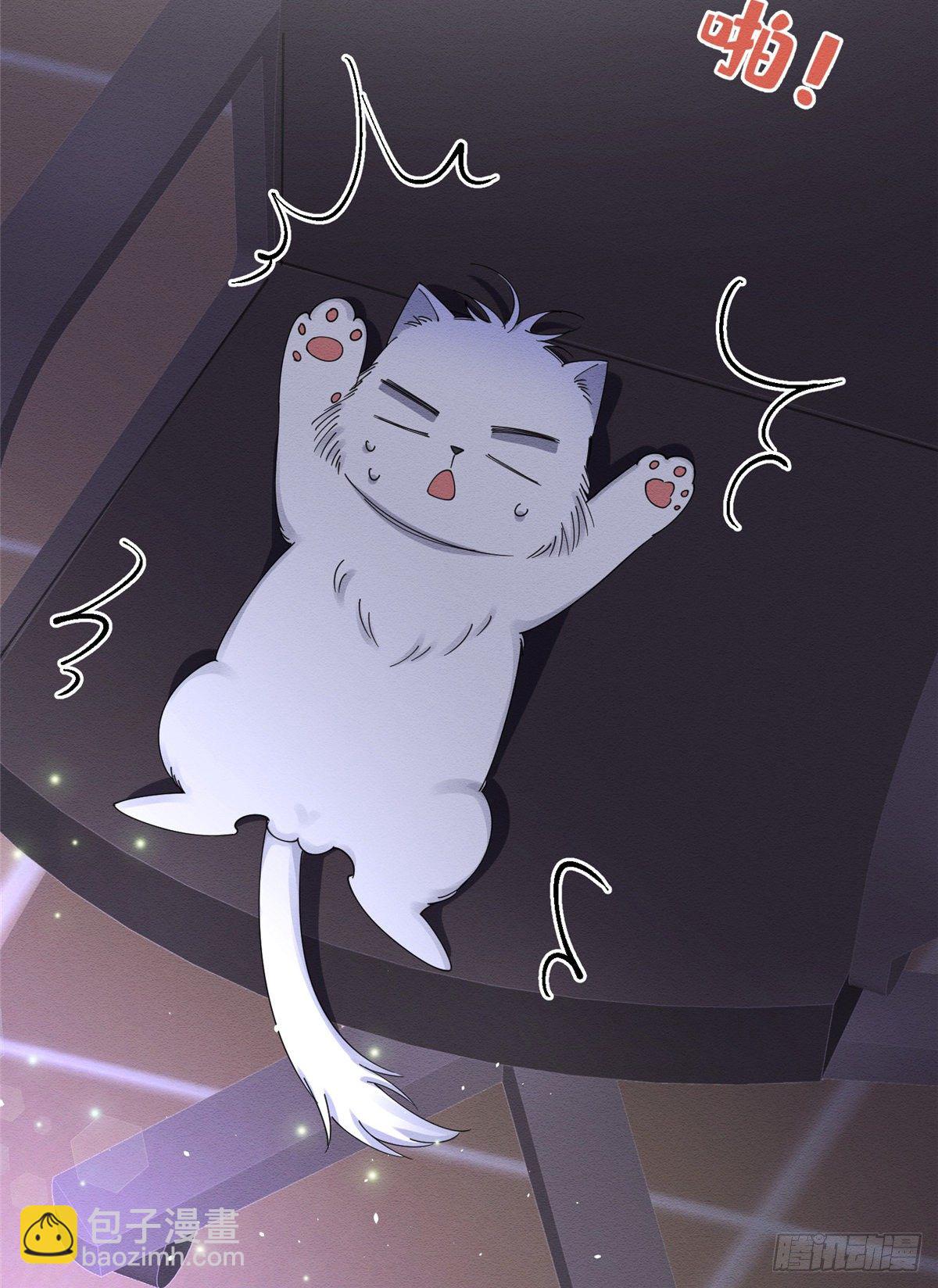 《今天也要努力当只猫》第6话 笨蛋！ 第44页