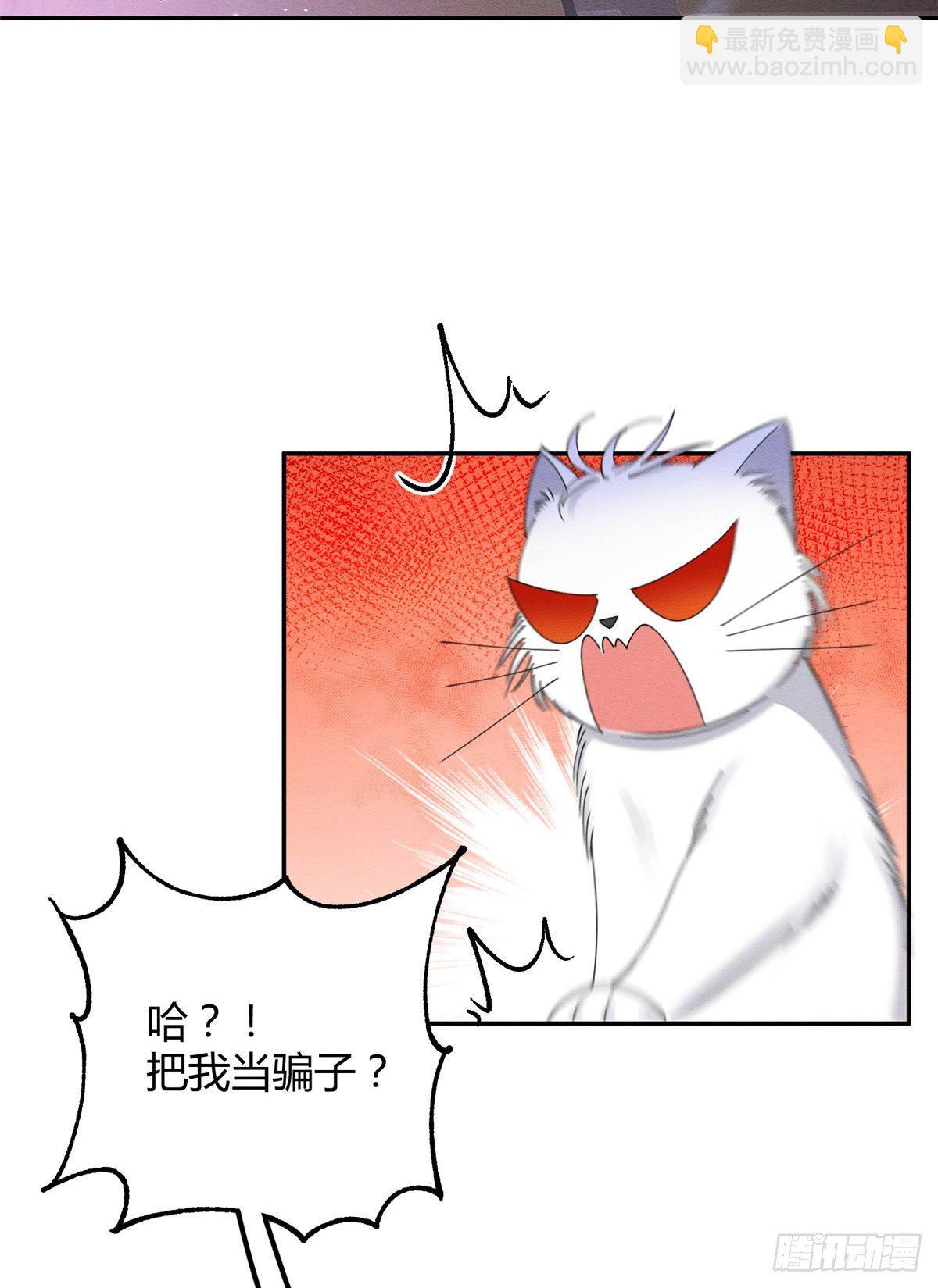 《今天也要努力当只猫》第6话 笨蛋！ 第45页