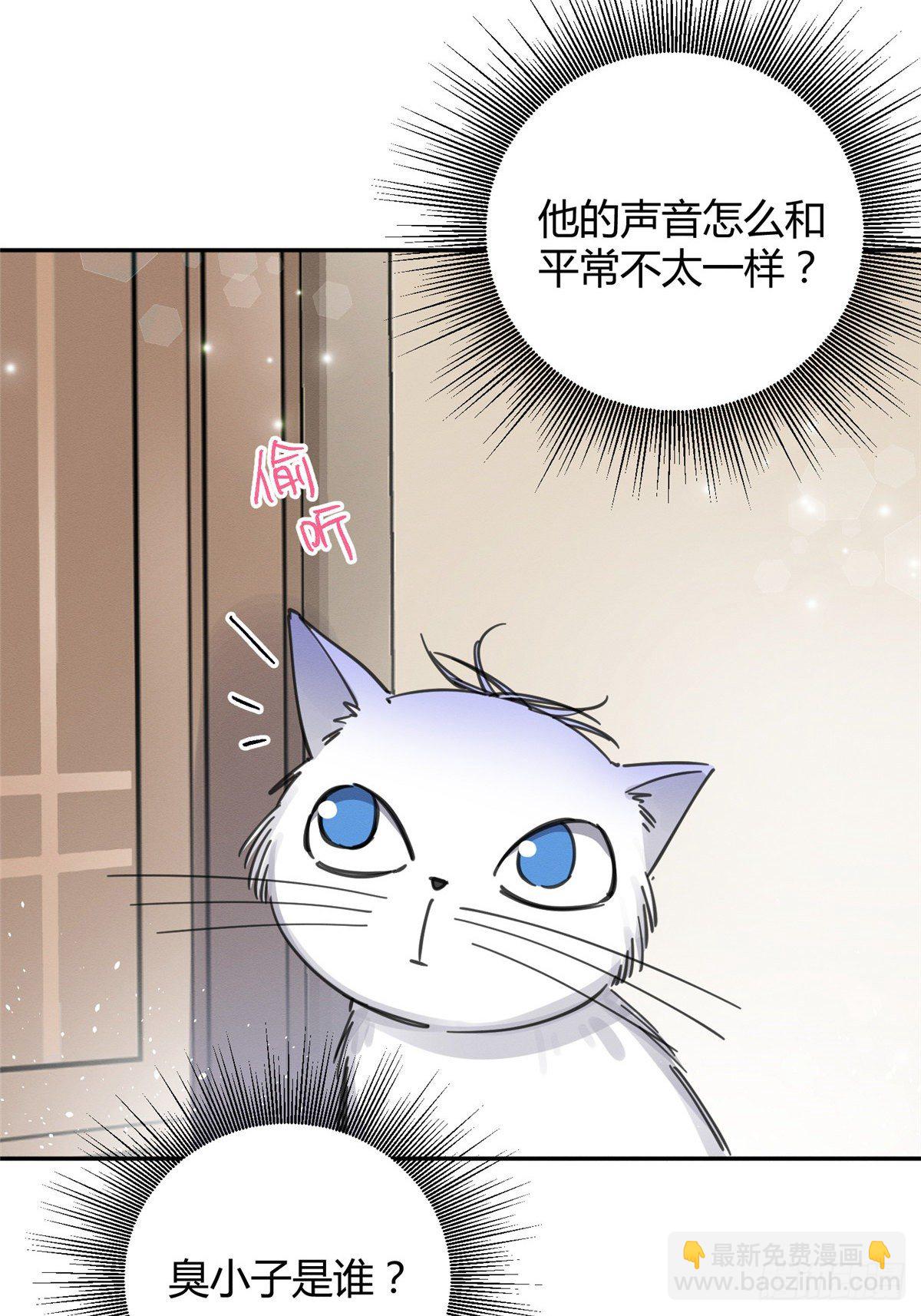 《今天也要努力当只猫》第6话 笨蛋！ 第4页