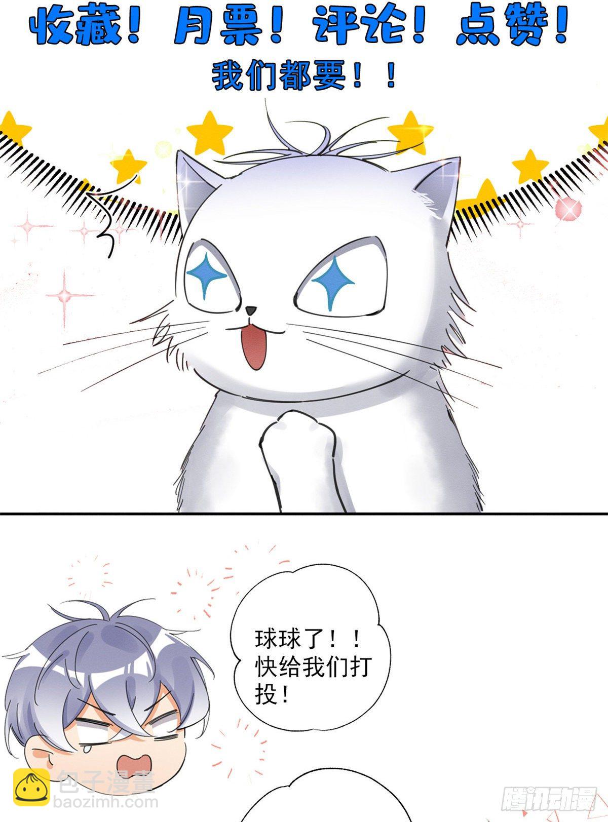 《今天也要努力当只猫》第6话 笨蛋！ 第50页