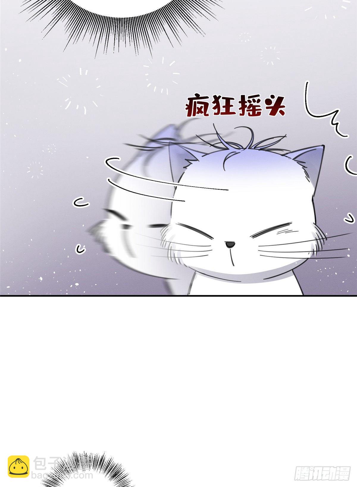 《今天也要努力当只猫》第6话 笨蛋！ 第8页