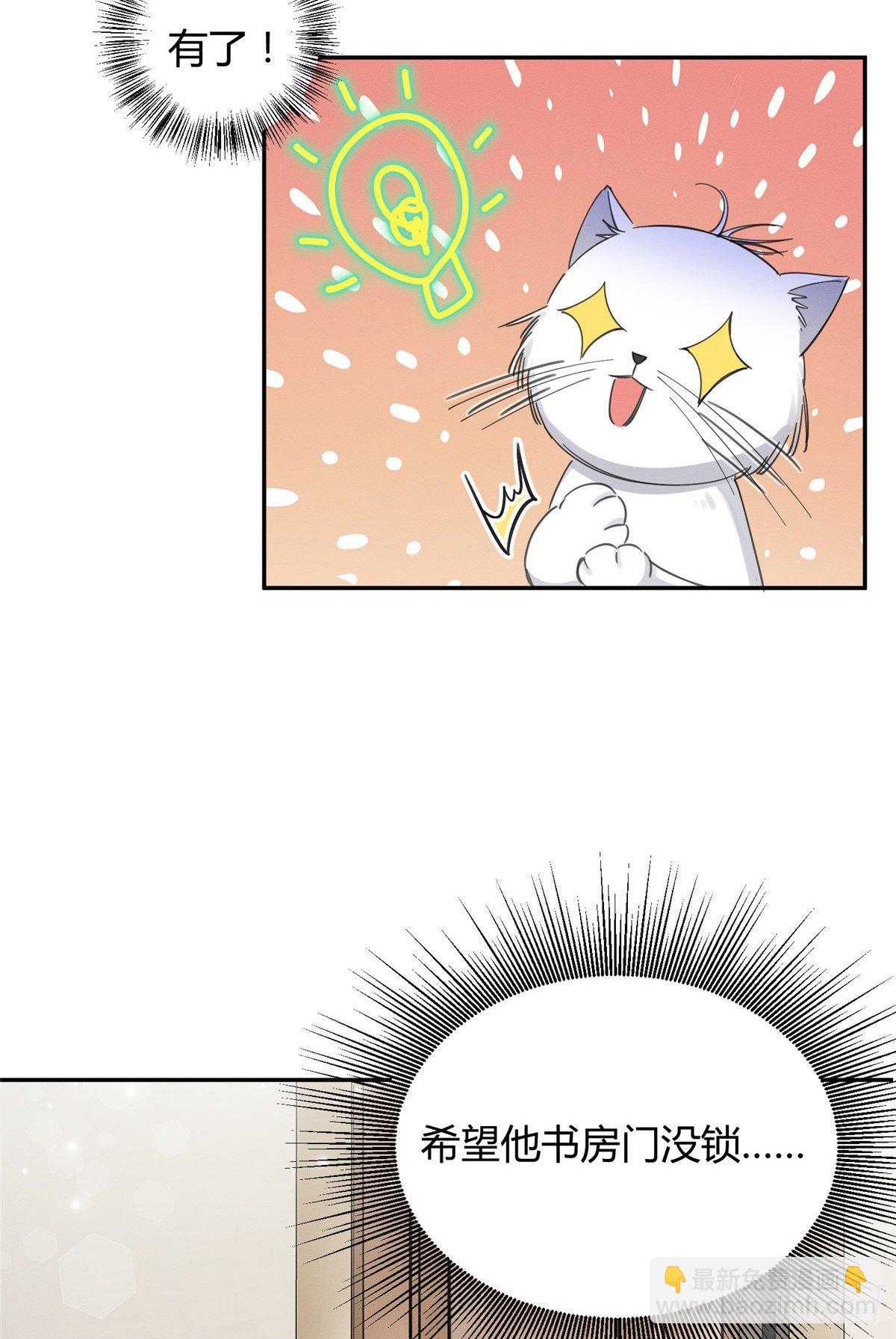 《今天也要努力当只猫》第6话 笨蛋！ 第9页