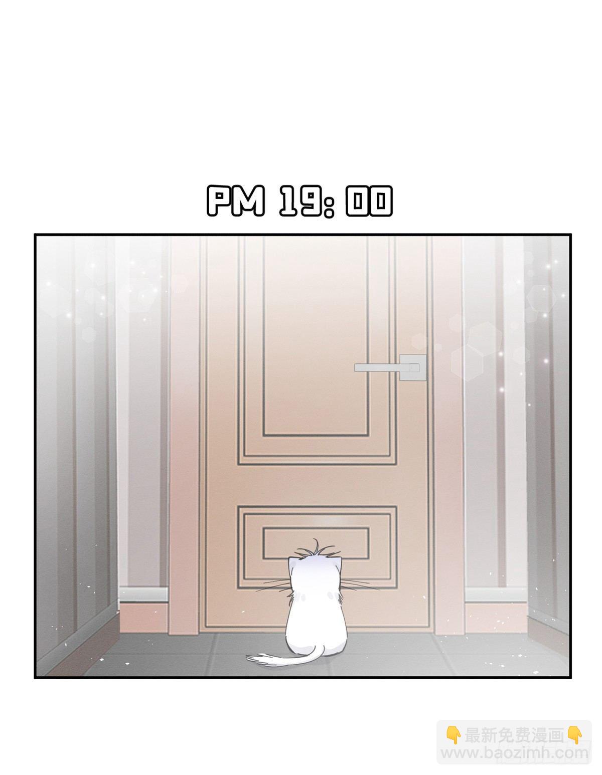 《今天也要努力当只猫》第5话是公的！ 第22页
