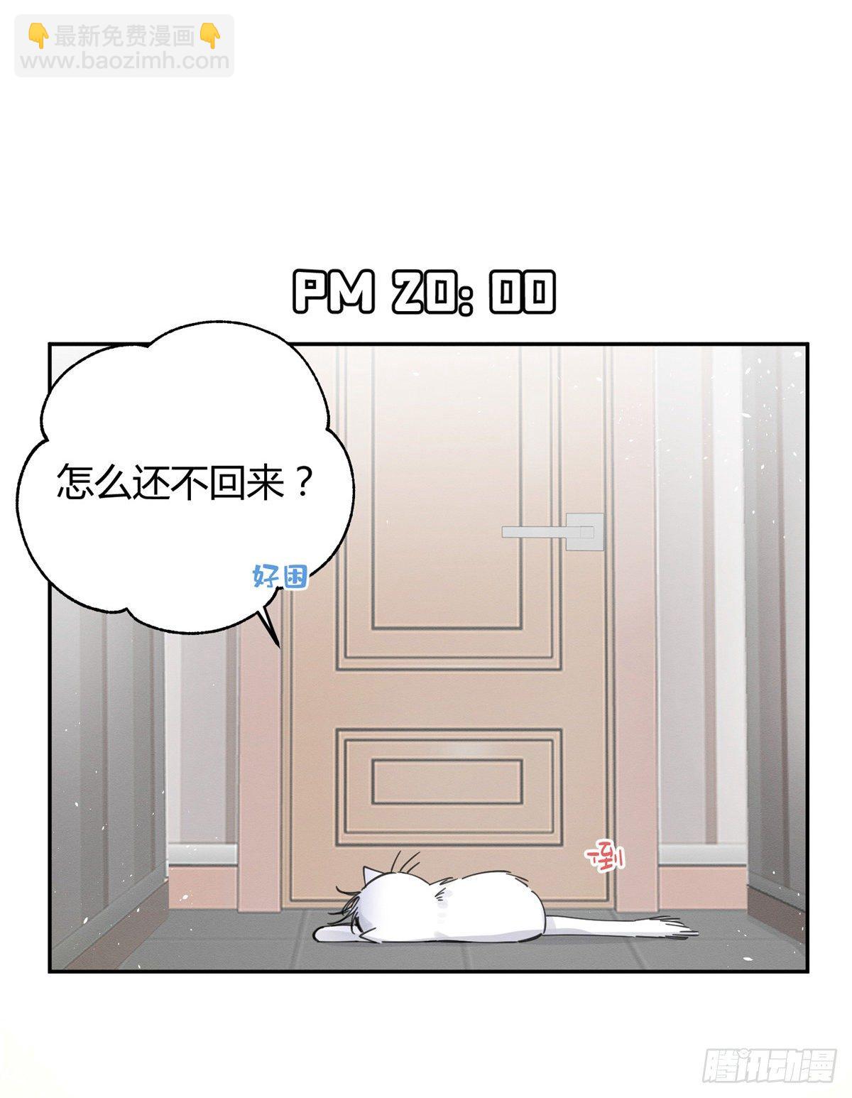 《今天也要努力当只猫》第5话是公的！ 第23页