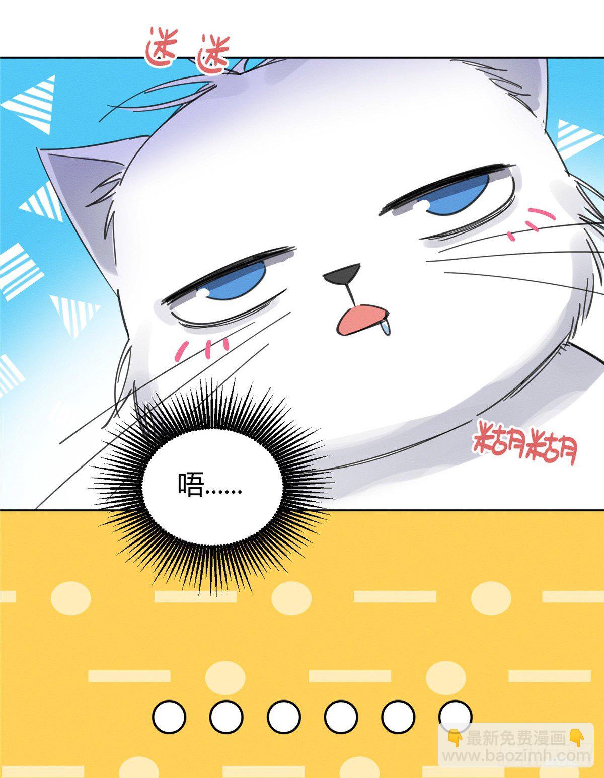 《今天也要努力当只猫》第5话是公的！ 第28页