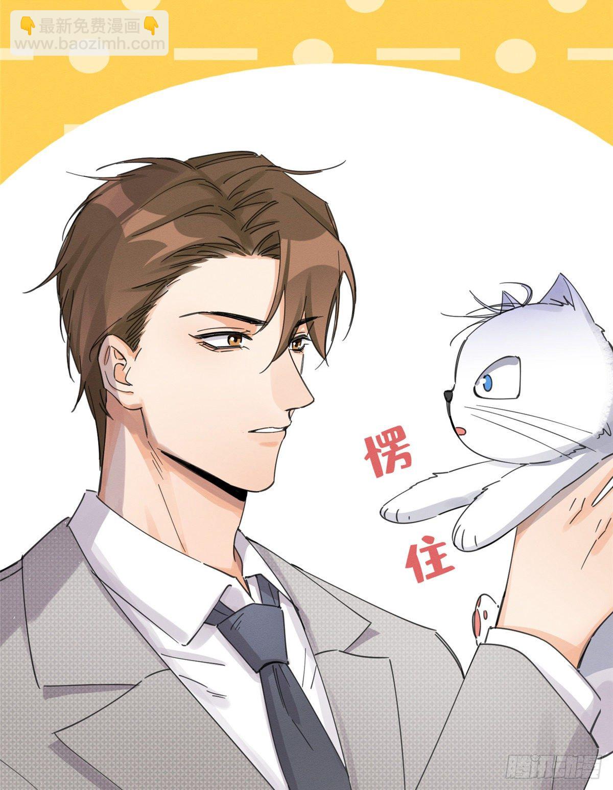 《今天也要努力当只猫》第5话是公的！ 第29页