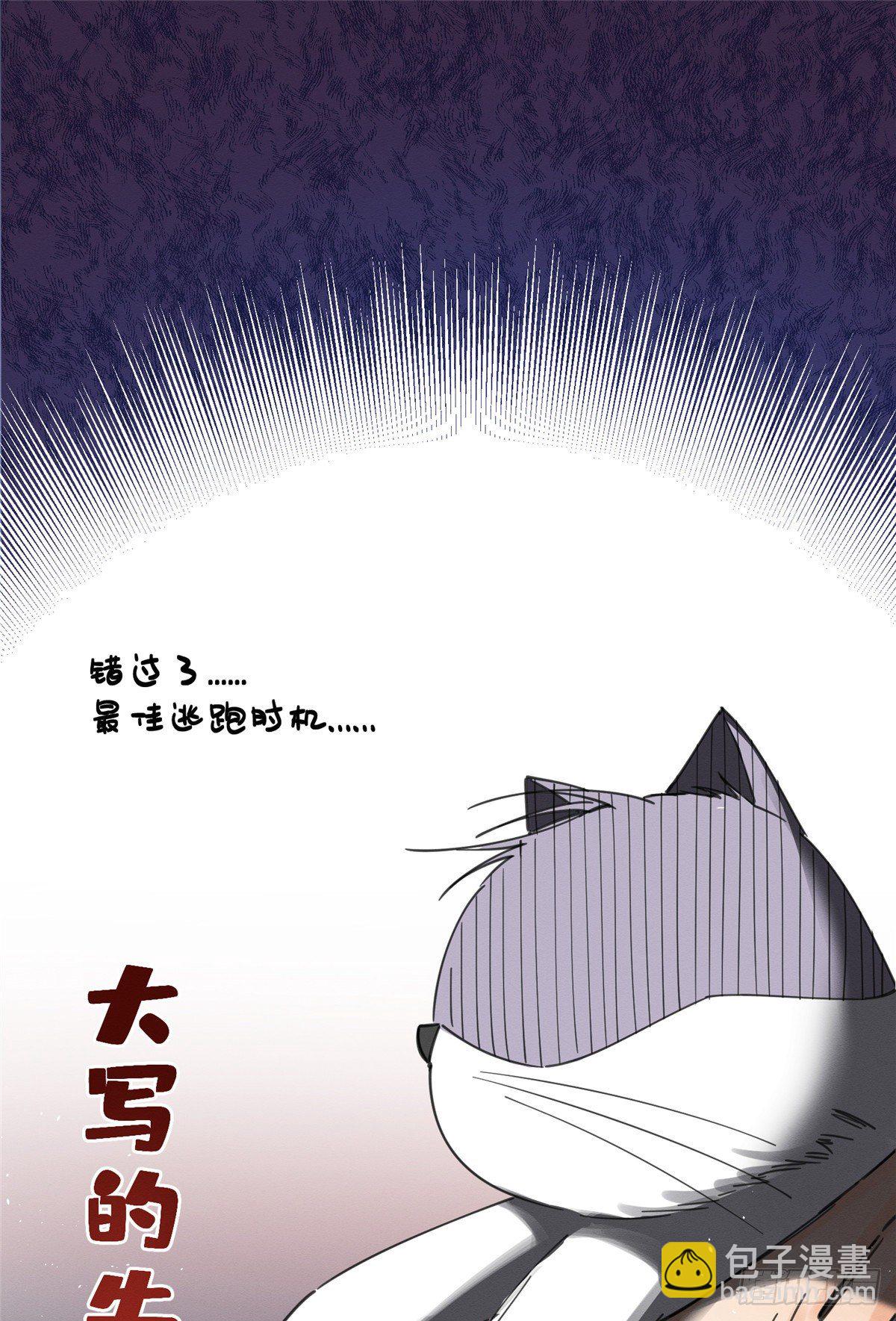 《今天也要努力当只猫》第5话是公的！ 第32页