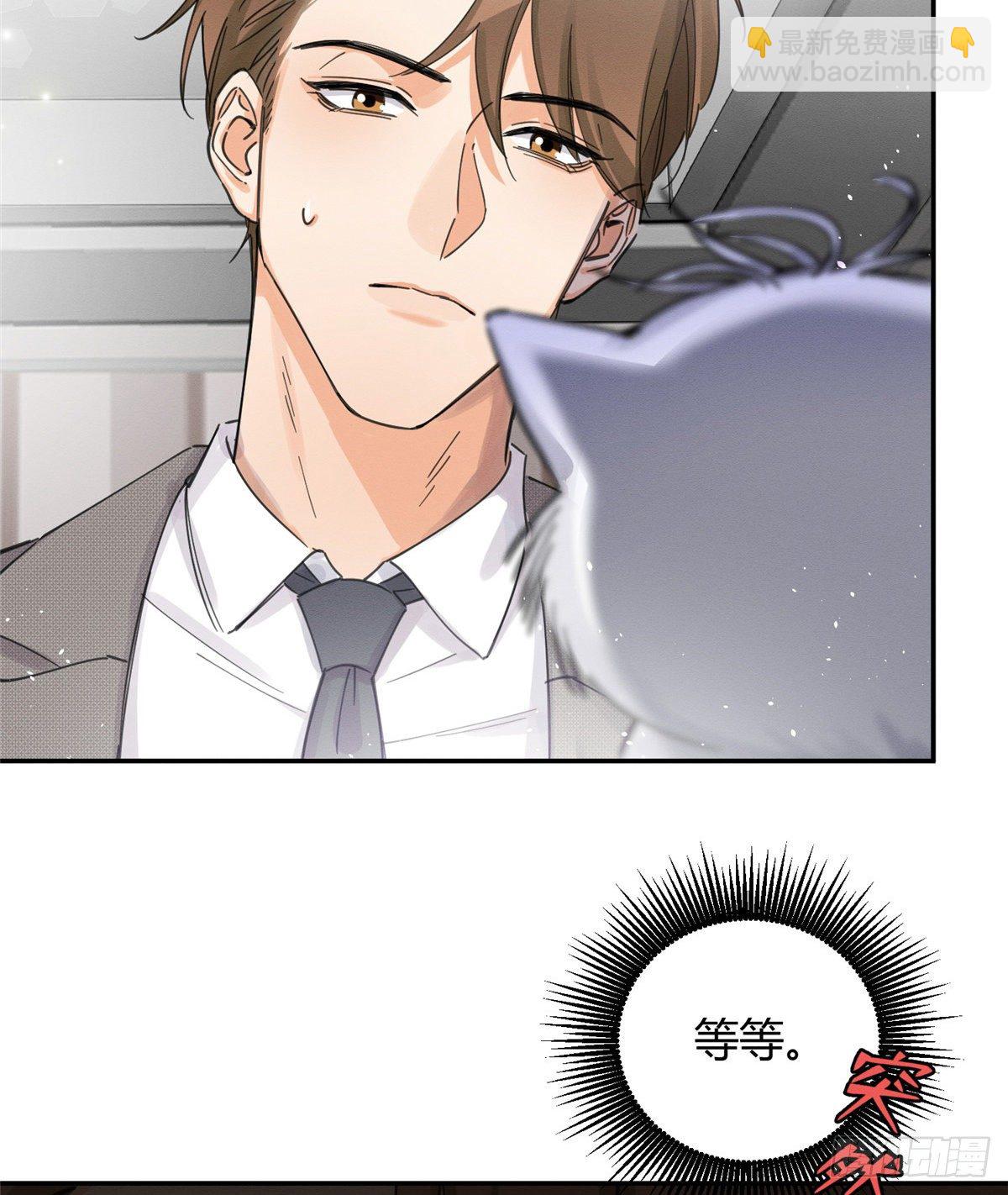 《今天也要努力当只猫》第5话是公的！ 第34页