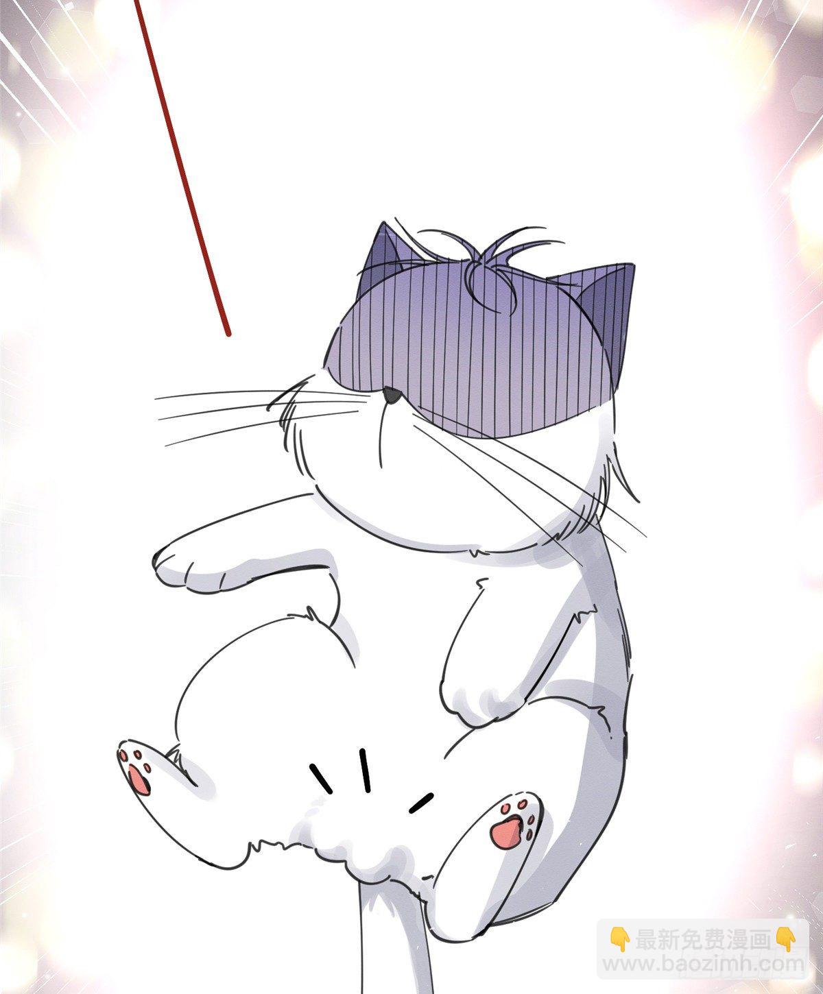《今天也要努力当只猫》第5话是公的！ 第36页