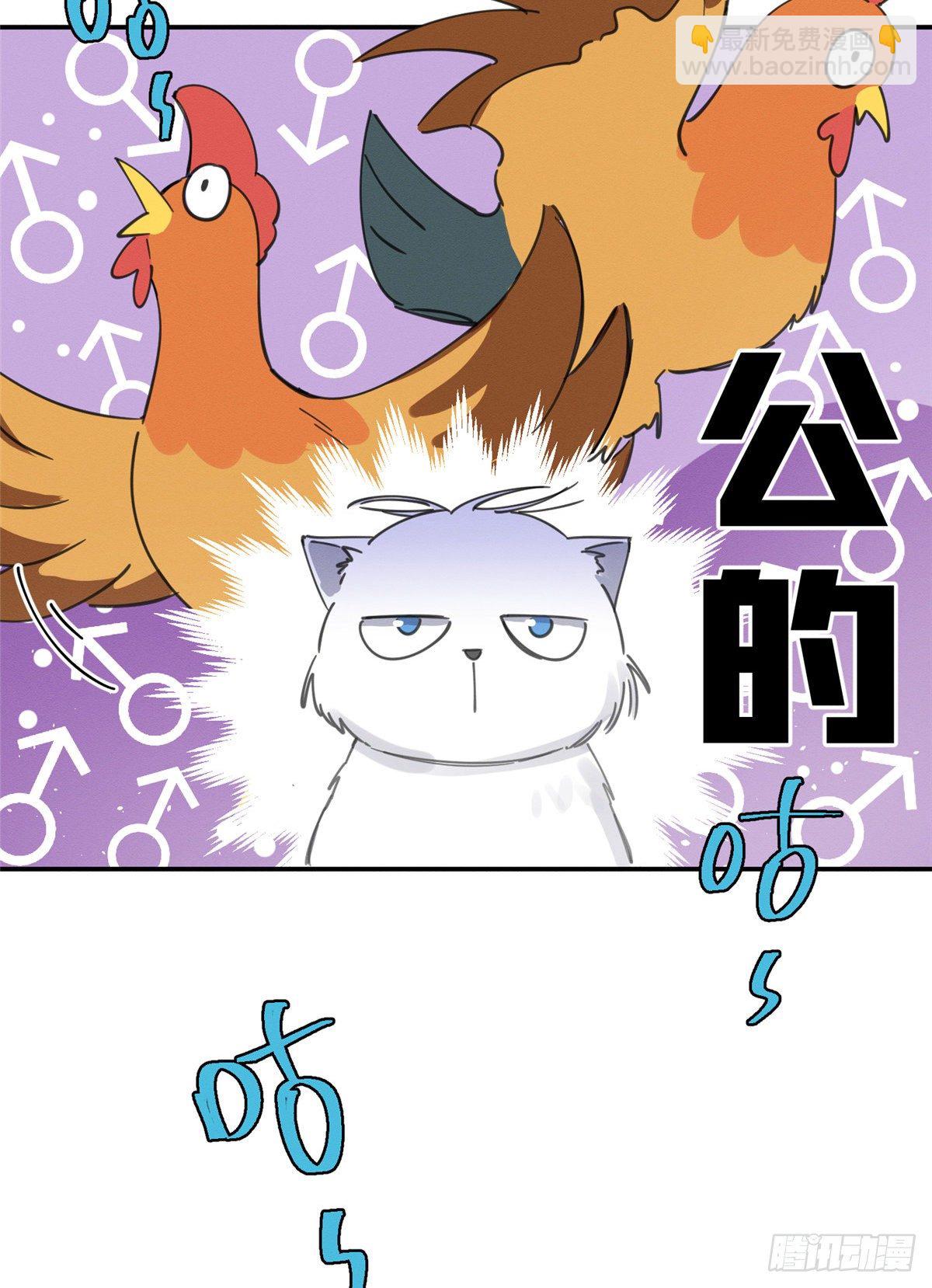 《今天也要努力当只猫》第5话是公的！ 第38页