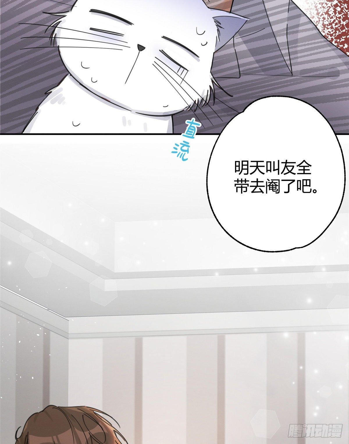 《今天也要努力当只猫》第5话是公的！ 第41页