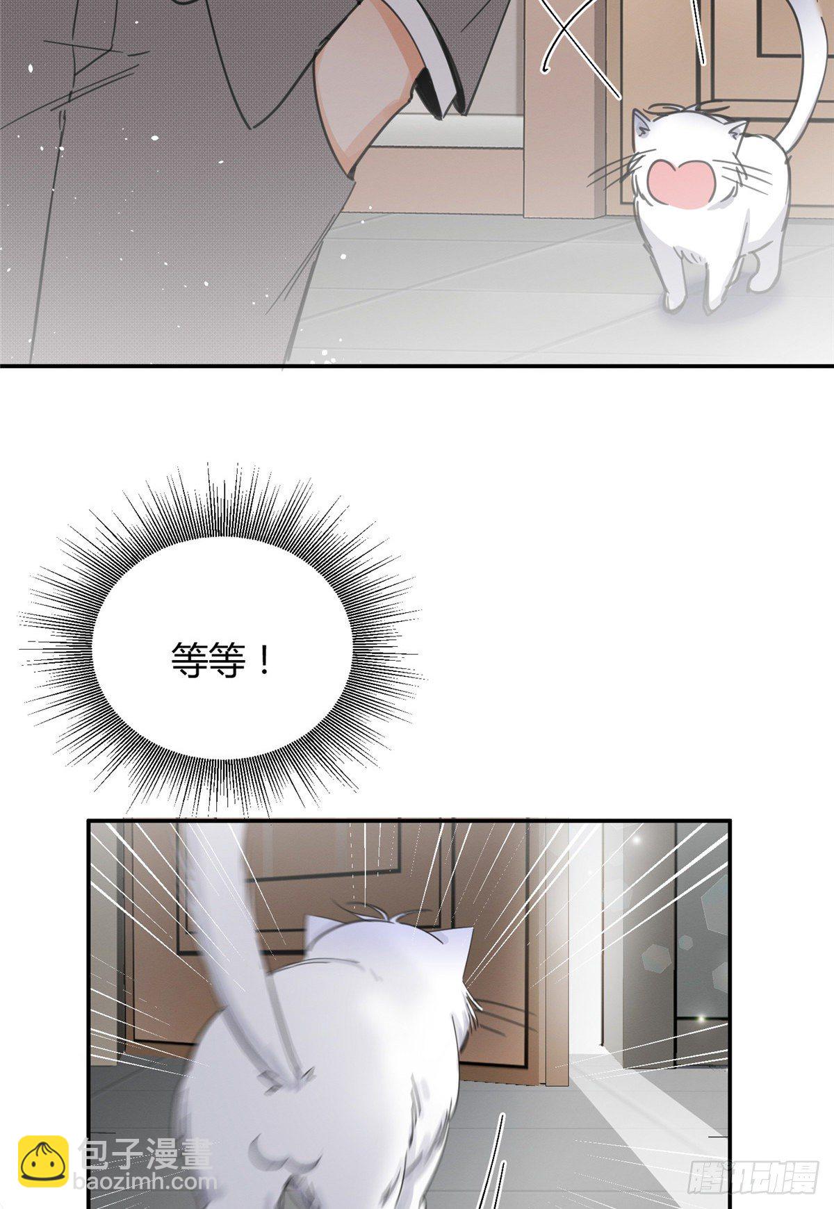 《今天也要努力当只猫》第5话是公的！ 第43页