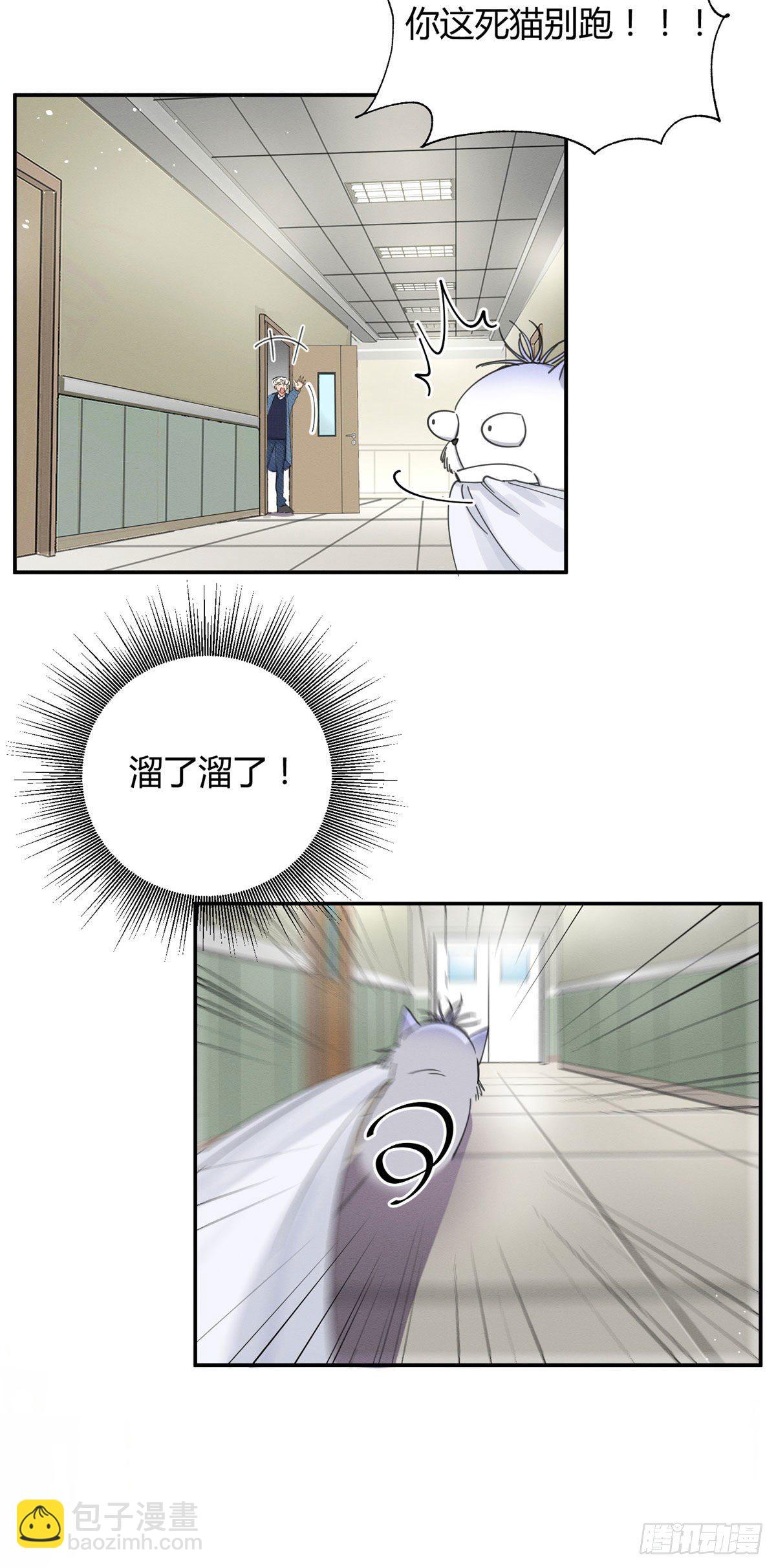 《今天也要努力当只猫》第9话 我是裴臻 第13页