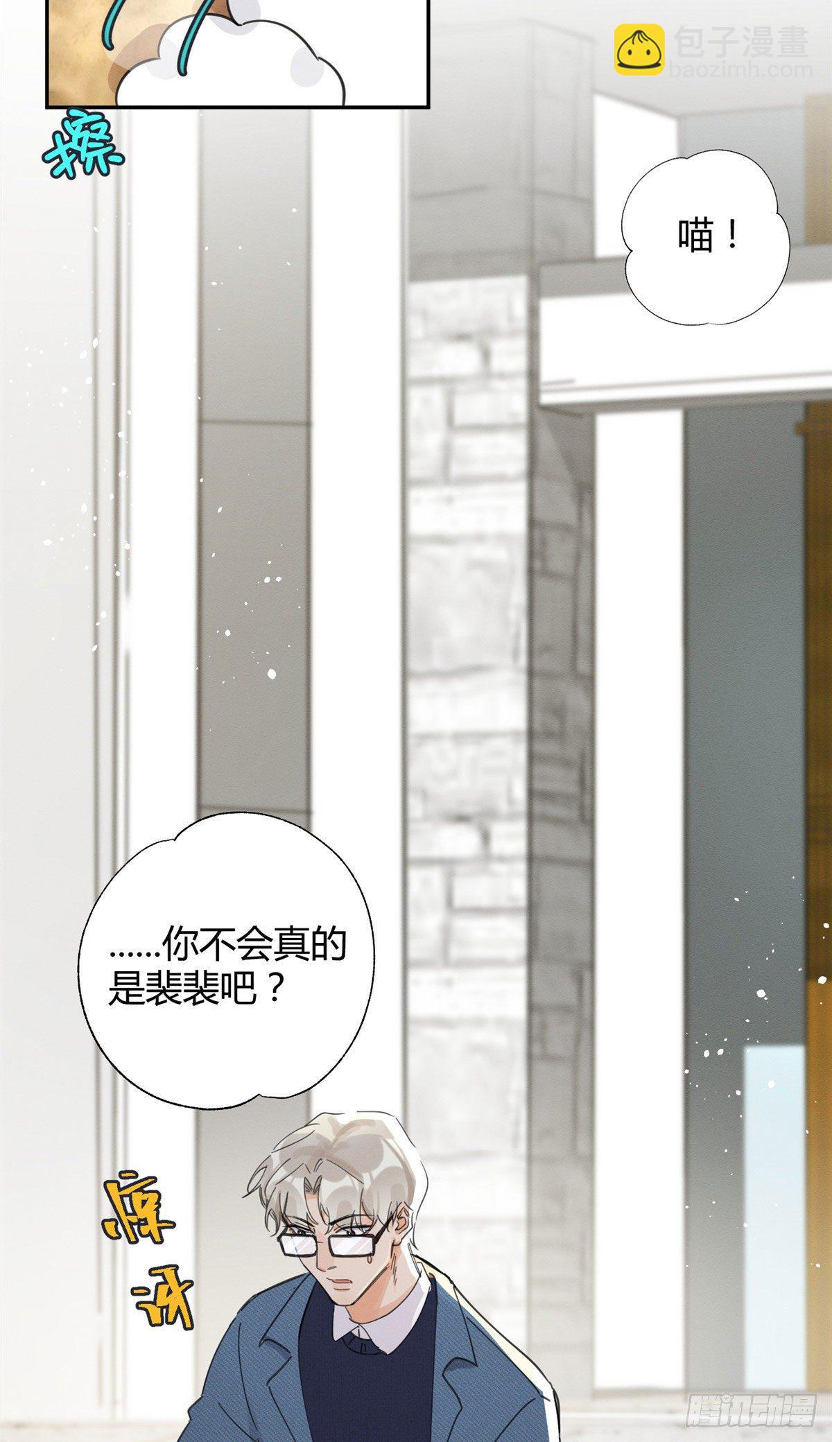 《今天也要努力当只猫》第9话 我是裴臻 第19页