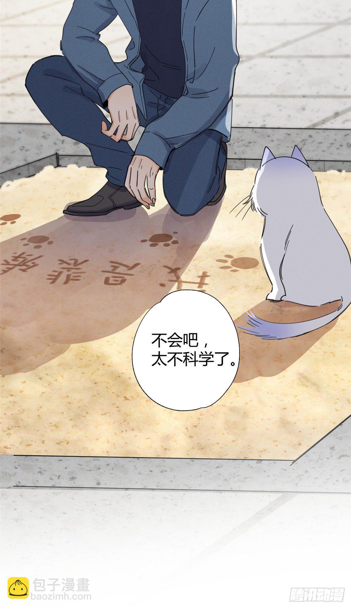《今天也要努力当只猫》第9话 我是裴臻 第20页