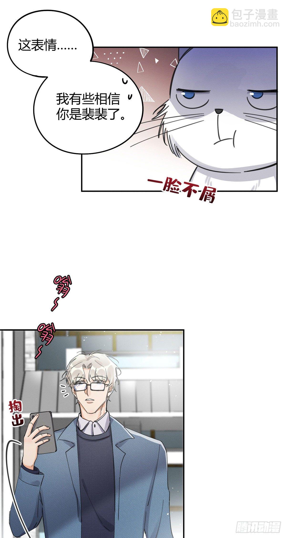 《今天也要努力当只猫》第9话 我是裴臻 第21页